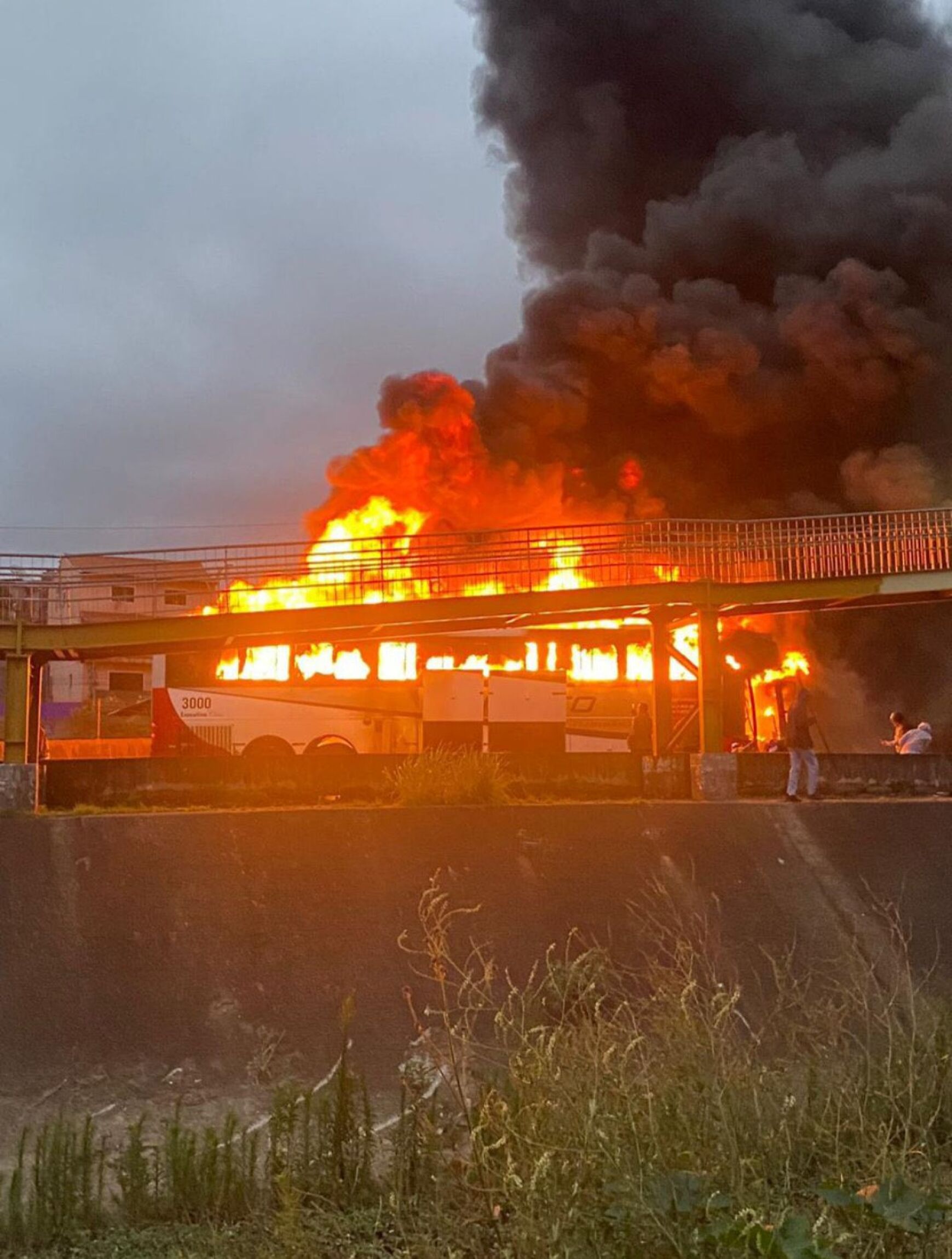 Confrontos entre 150 adeptos de Palmeiras e Cruzeiro causam pelo menos um morto