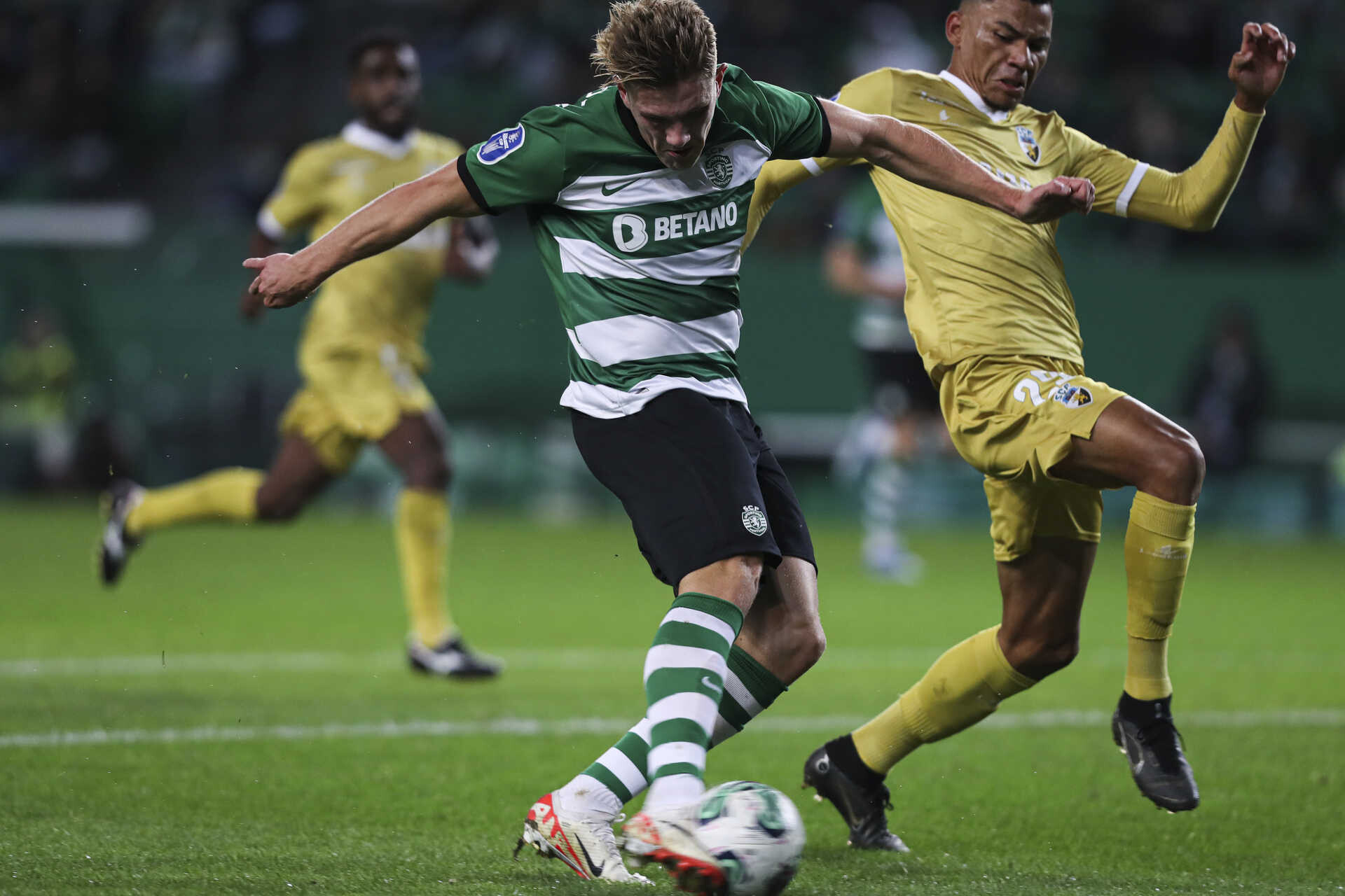 Campeonato Português: Assista ao vivo e de graça ao jogo Sporting x Farense