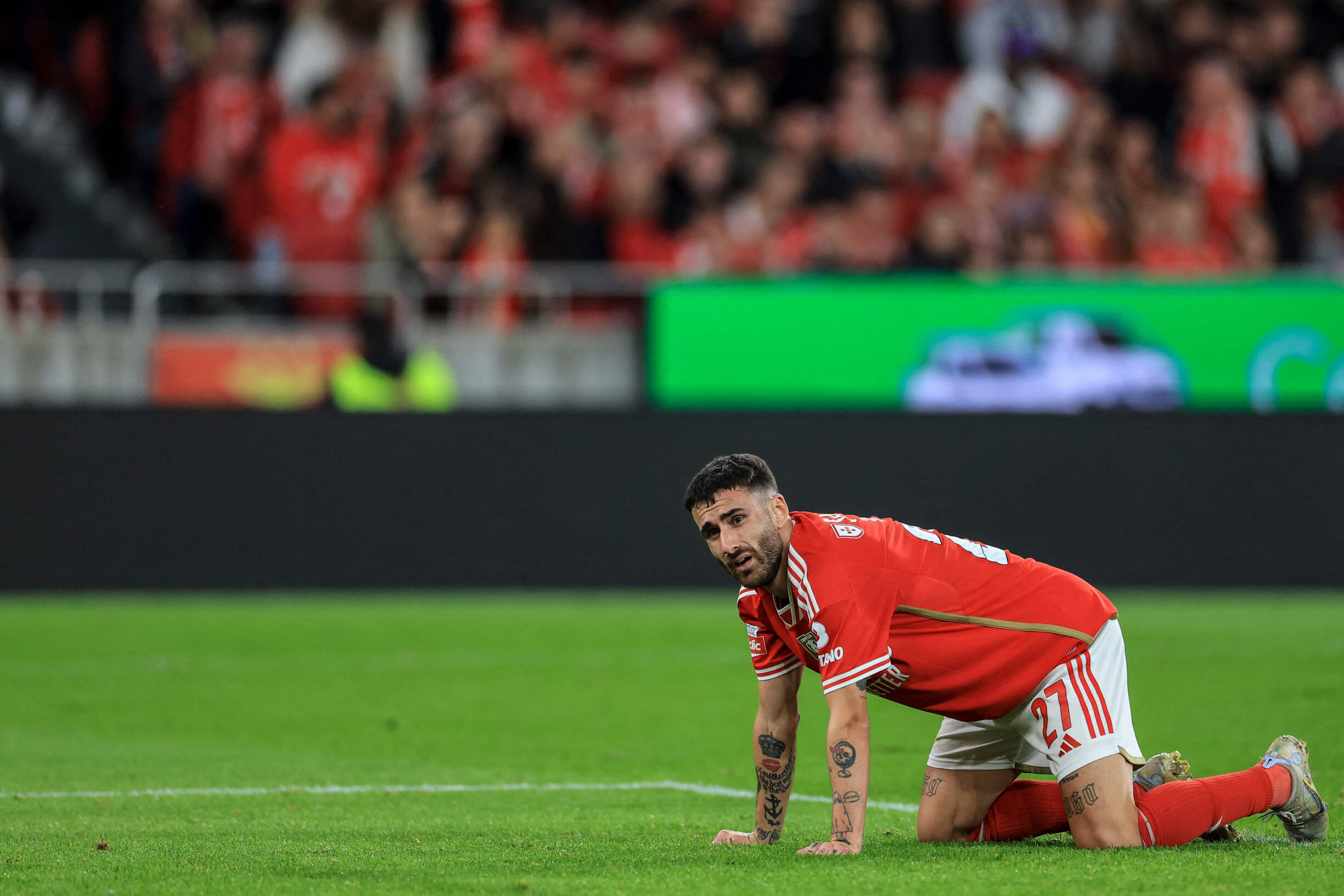 Os melhores lances do empate na Luz entre Benfica e Farense