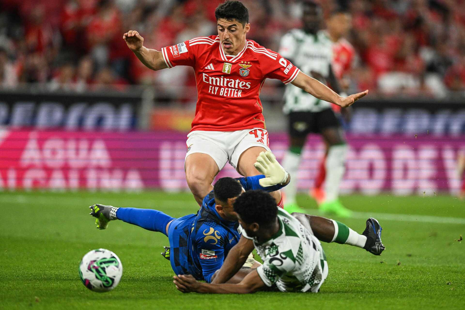 Benfica: Tiago Gouveia no onze inicial dá rendimento