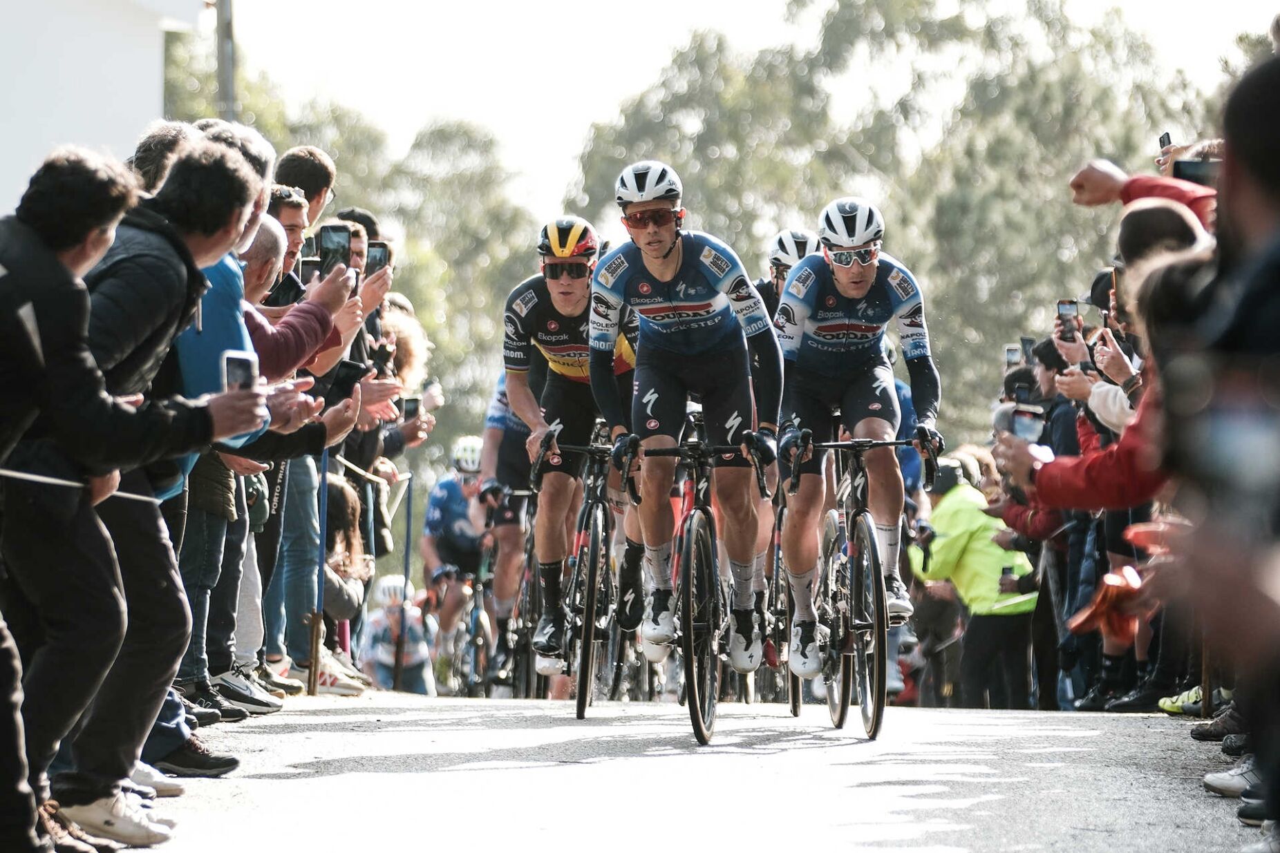 Arranca hoje a 50.ª edição da Volta ao Algarve Evenepoel é a maior estrela