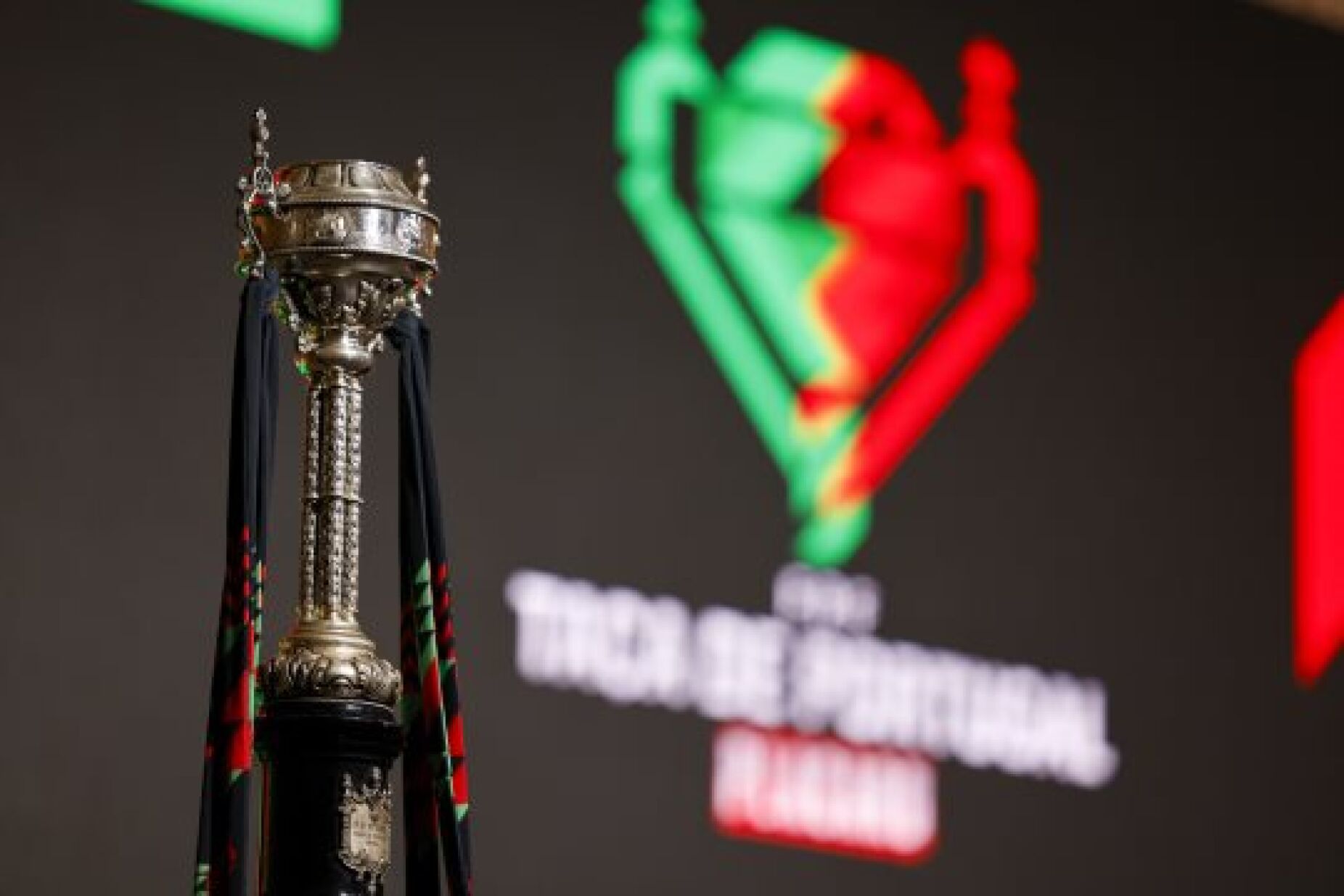 Re)veja a Final da Taça do Algarve esta quarta-feira no Canal 11