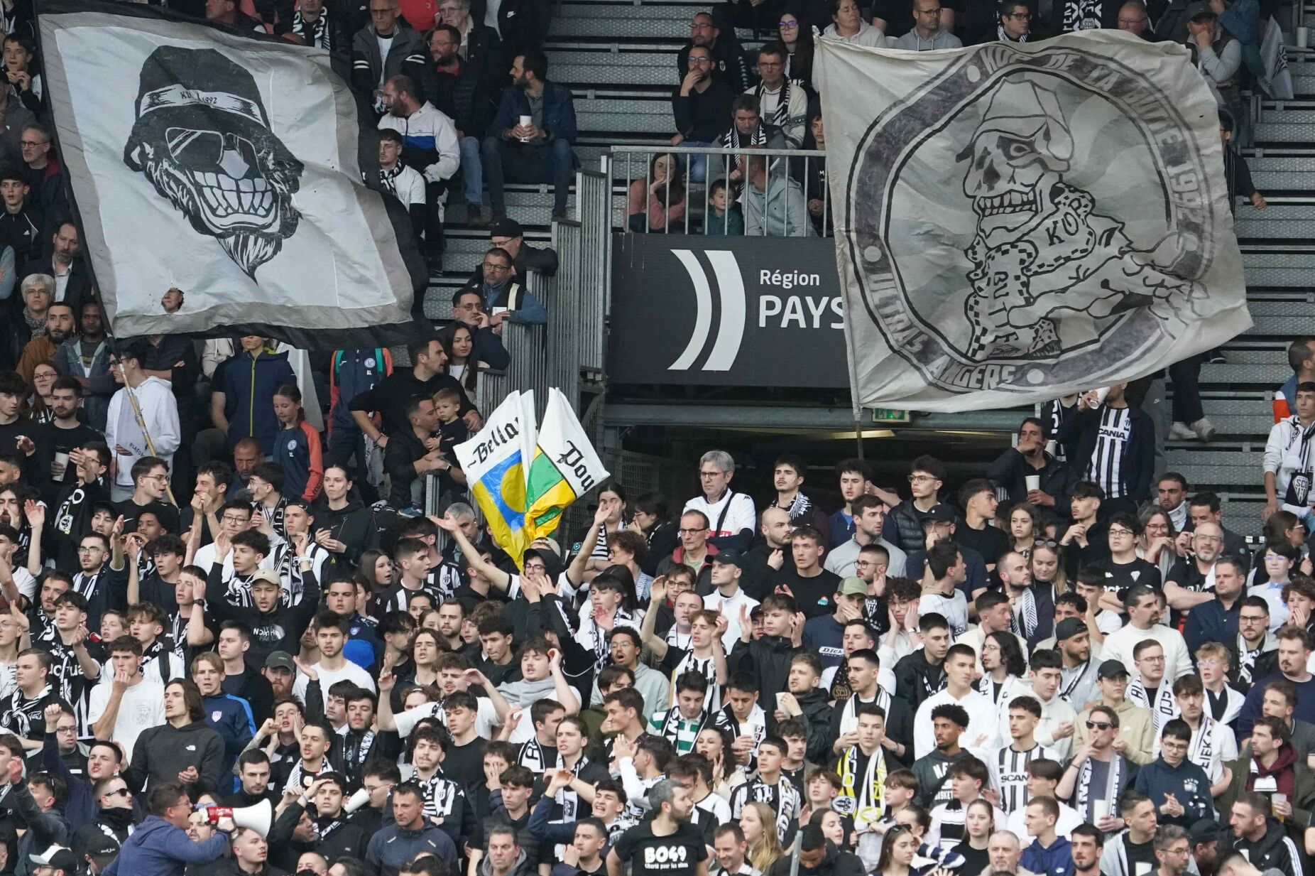 Claque do Angers denuncia agressão sexual a mulher durante jogo da Ligue 2