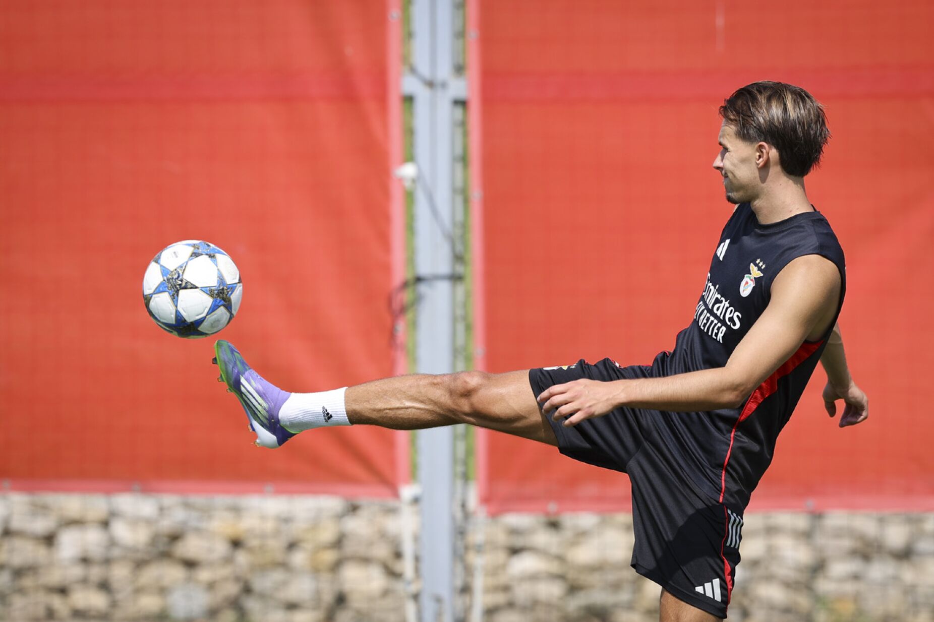 Amar Dedic desfalca o Benfica nas próximas duas semanas