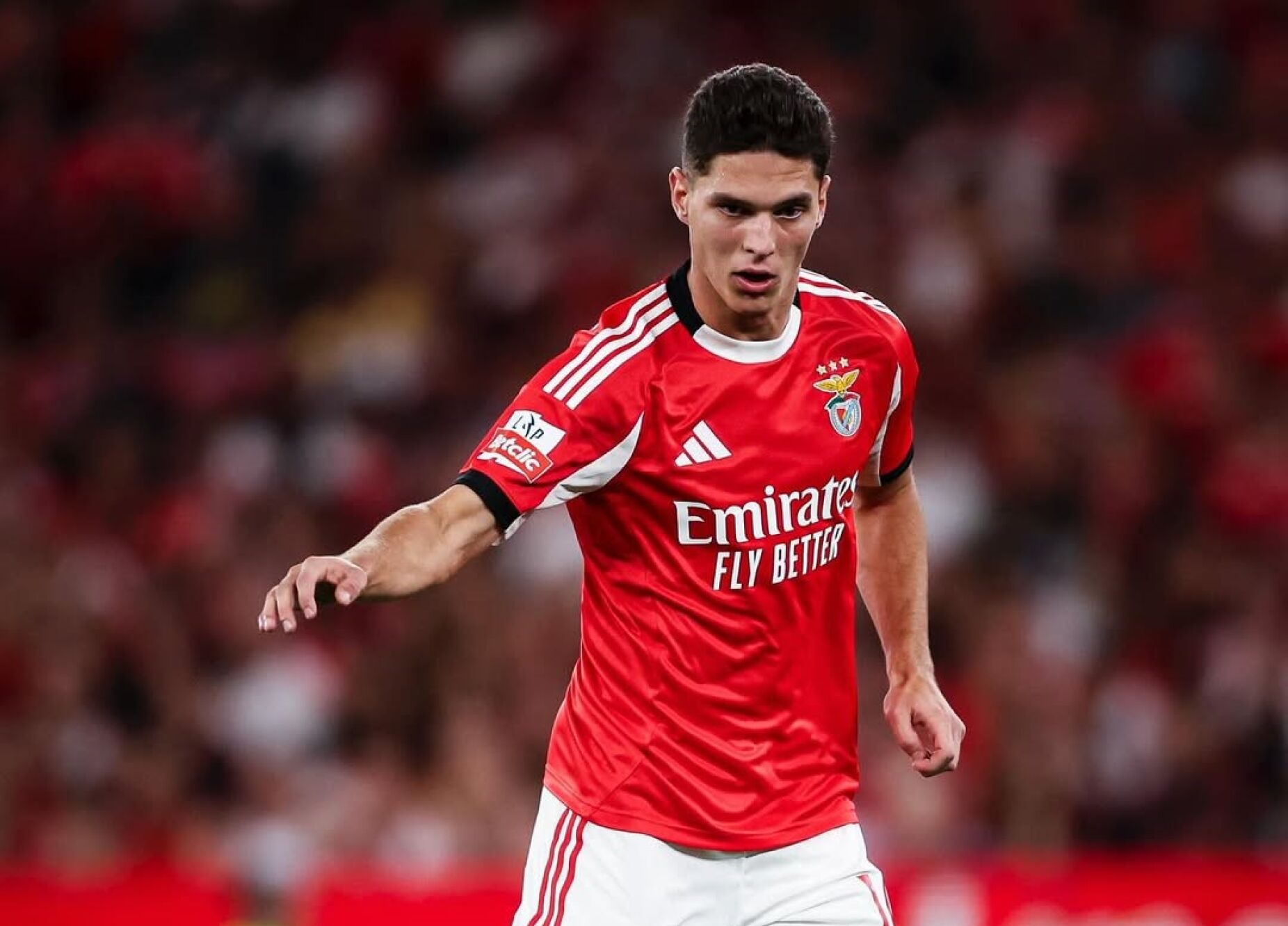 Benfica: Sudakov agradece a "receção calorosa" dos adeptos na Luz