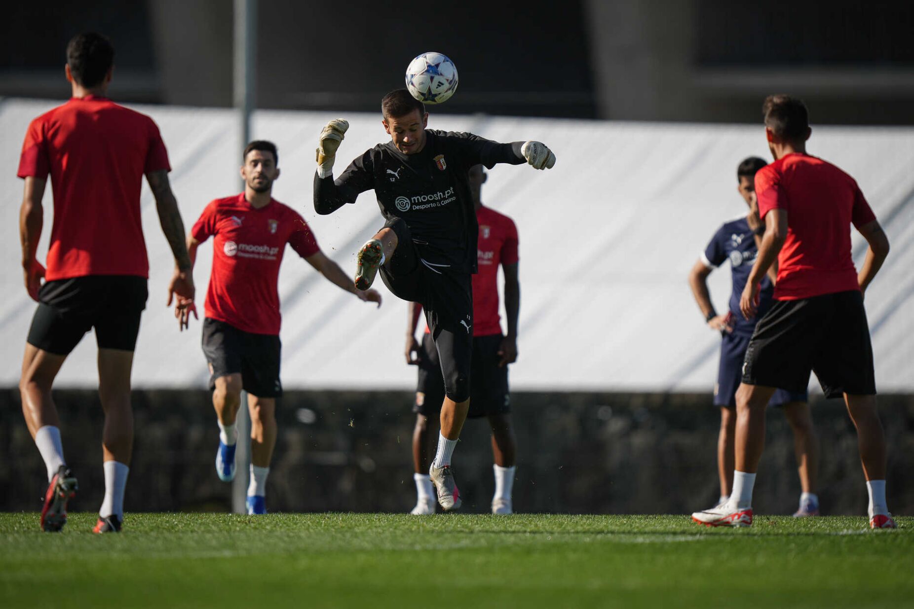 Champions League. FC Porto e Benfica com jogos decisivos em exclusivo na  Eleven