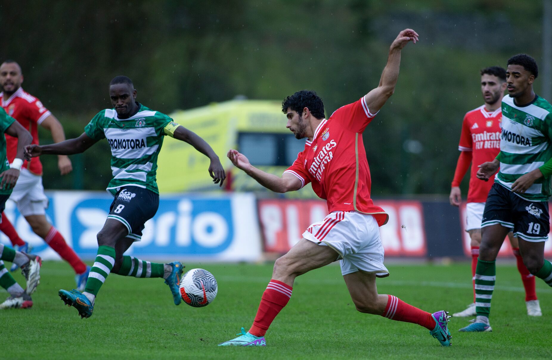 Basquetebol. Benfica apura-se para fase de grupos da Champions