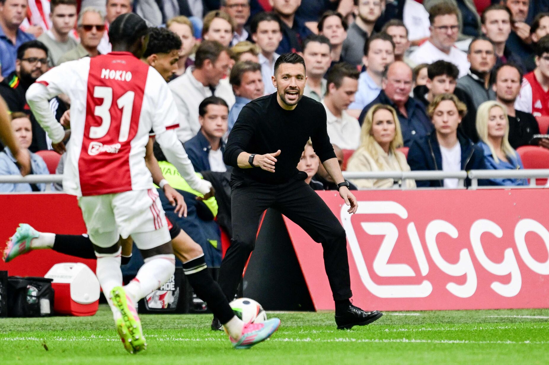 "Acredito que Farioli pode ter muito sucesso no FC Porto"