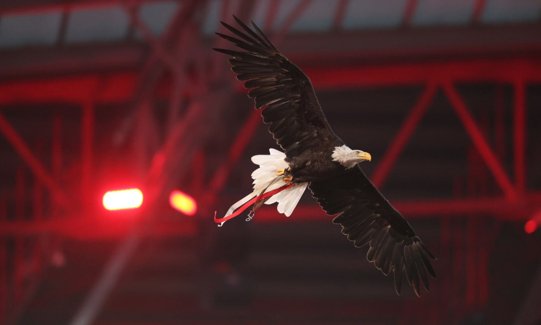 MAG do Benfica reitera "total segurança e transparência" do processo eleitoral
