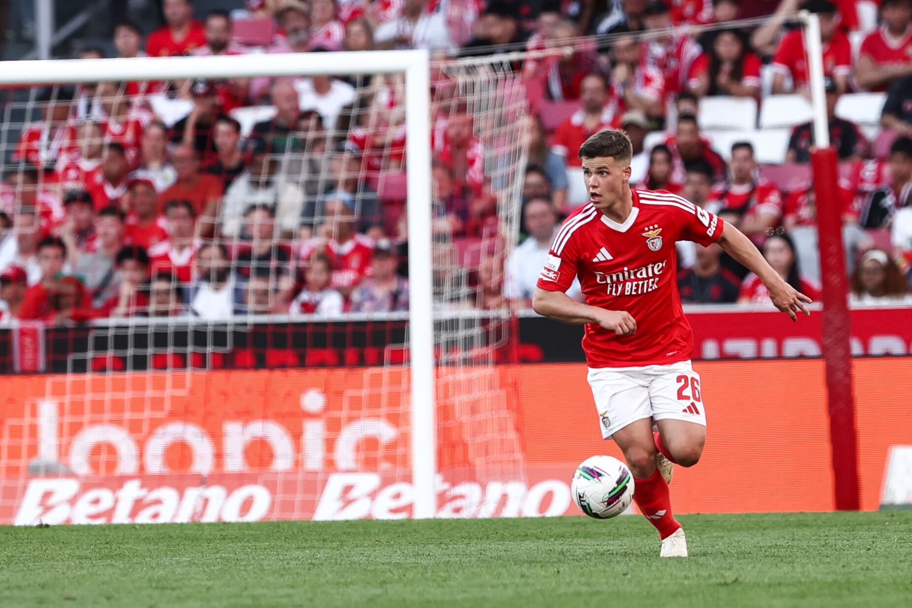 Oficial: Samuel Dahl assina com o Benfica até 2029