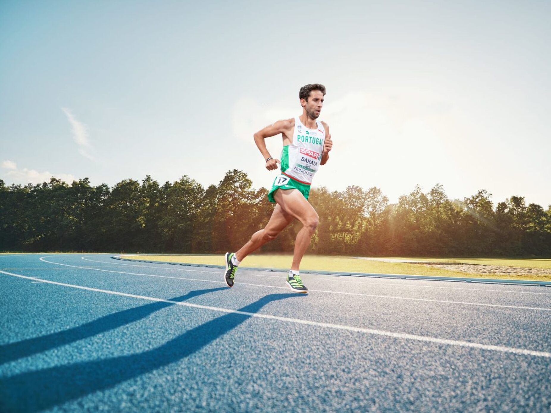A maior maratona europeia de pombos - Modalidades - Jornal Record