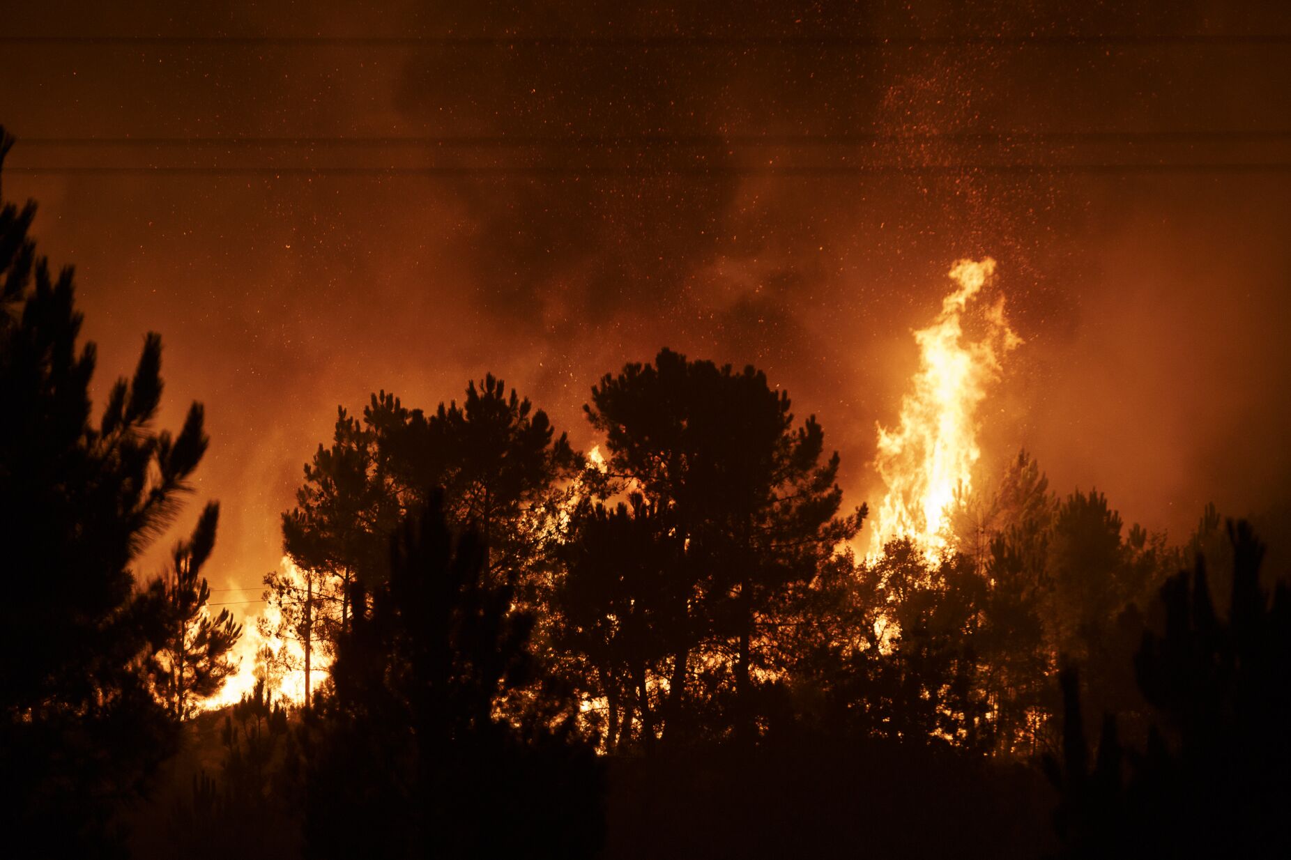 PJ detém suspeito da autoria de dois fogos em Seia