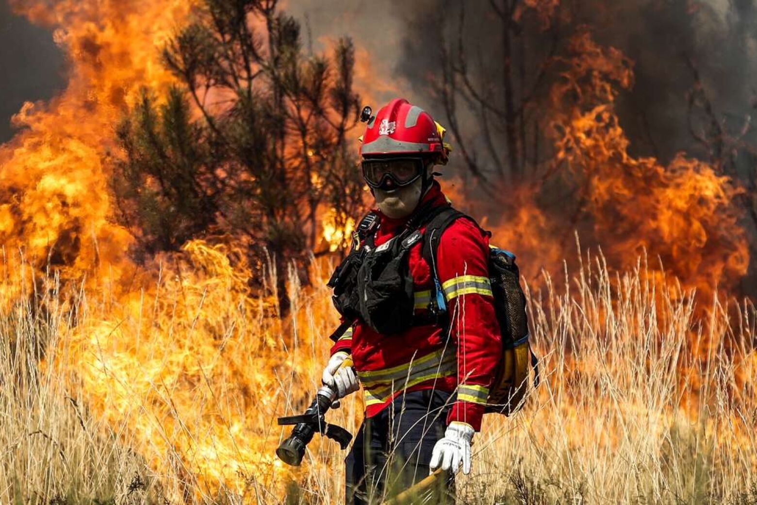 Inc&ecirc;ndio em Sever do Vouga provoca uma v&iacute;tima mortal e um ferido ligeiro