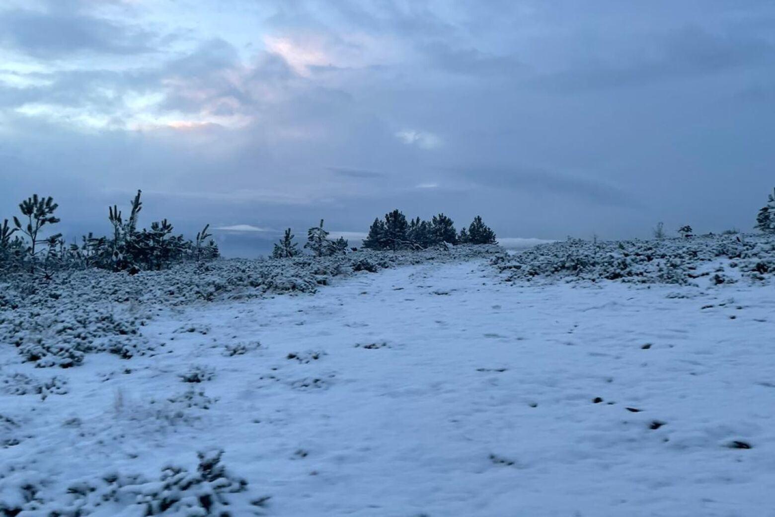 Neve e gelo obrigam ao corte de estradas na Serra da Freita