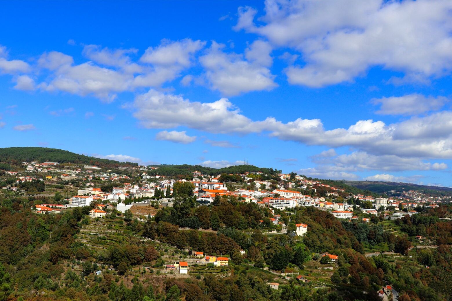 Freguesias de Castro Daire: quem foram os vencedores da noite?