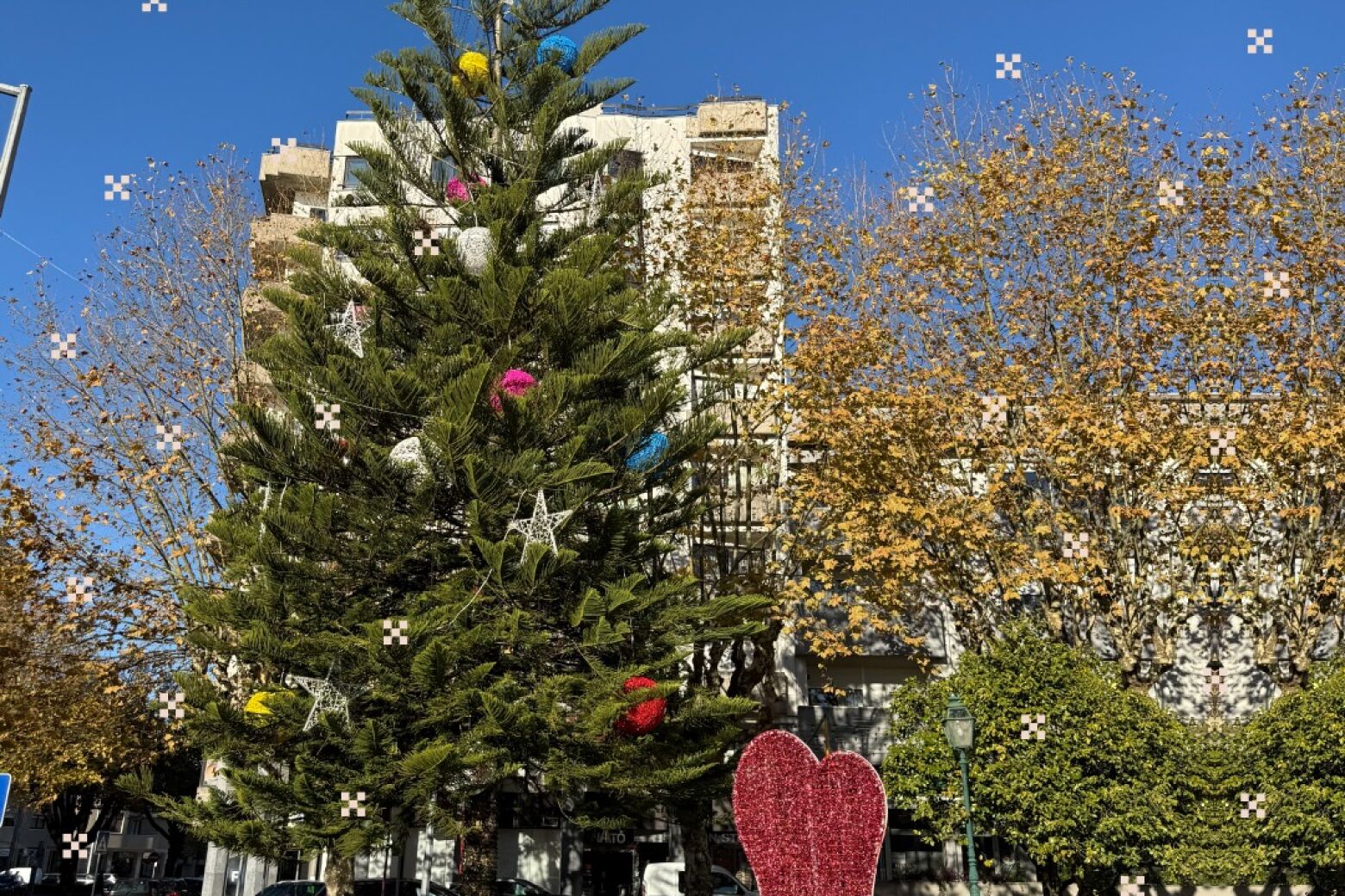 Vale de Cambra já decorada inaugura o "Bosque de Natal" no próximo Sábado