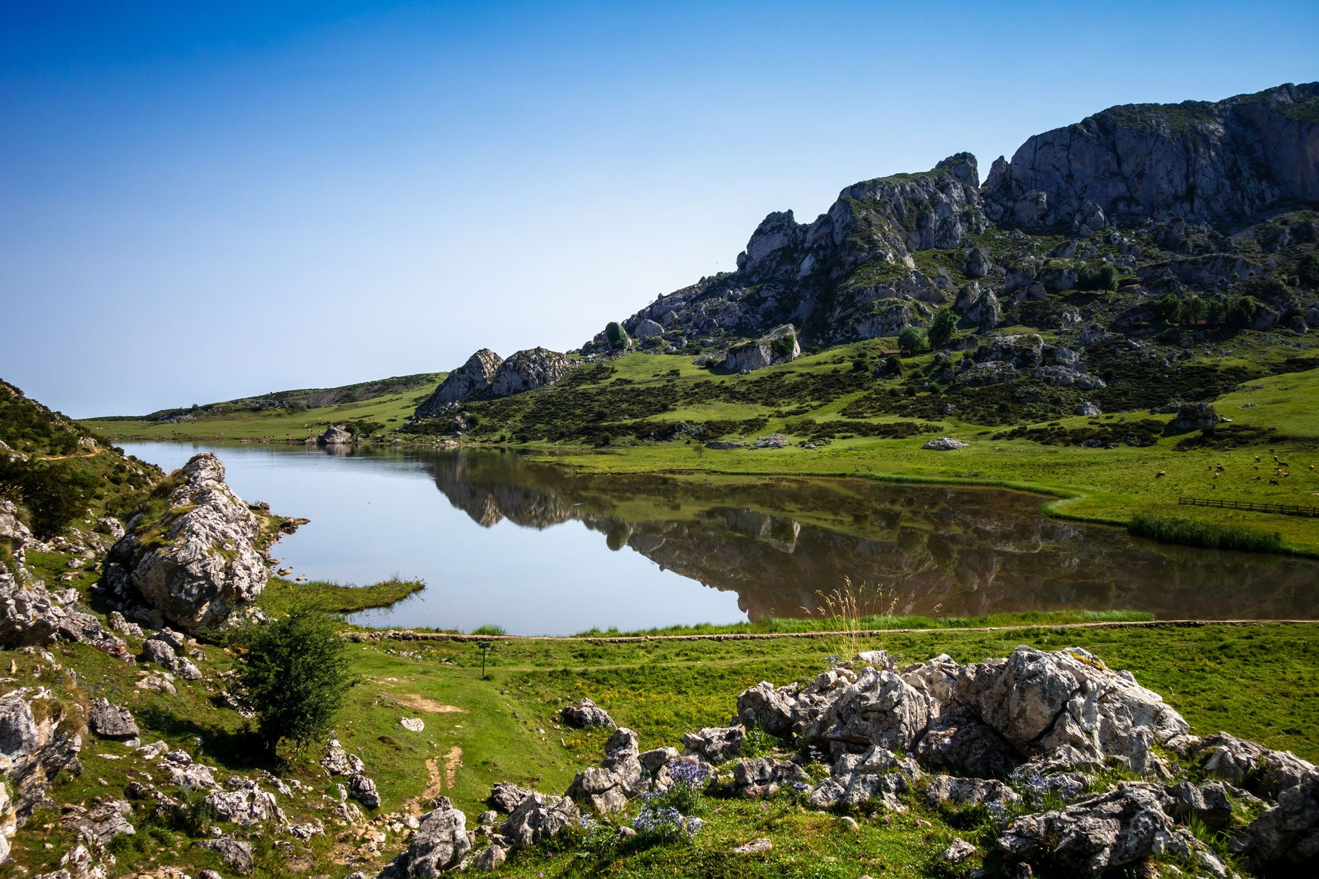Guía de viaje: Asturias, un “Paraíso Natural” para descubrir