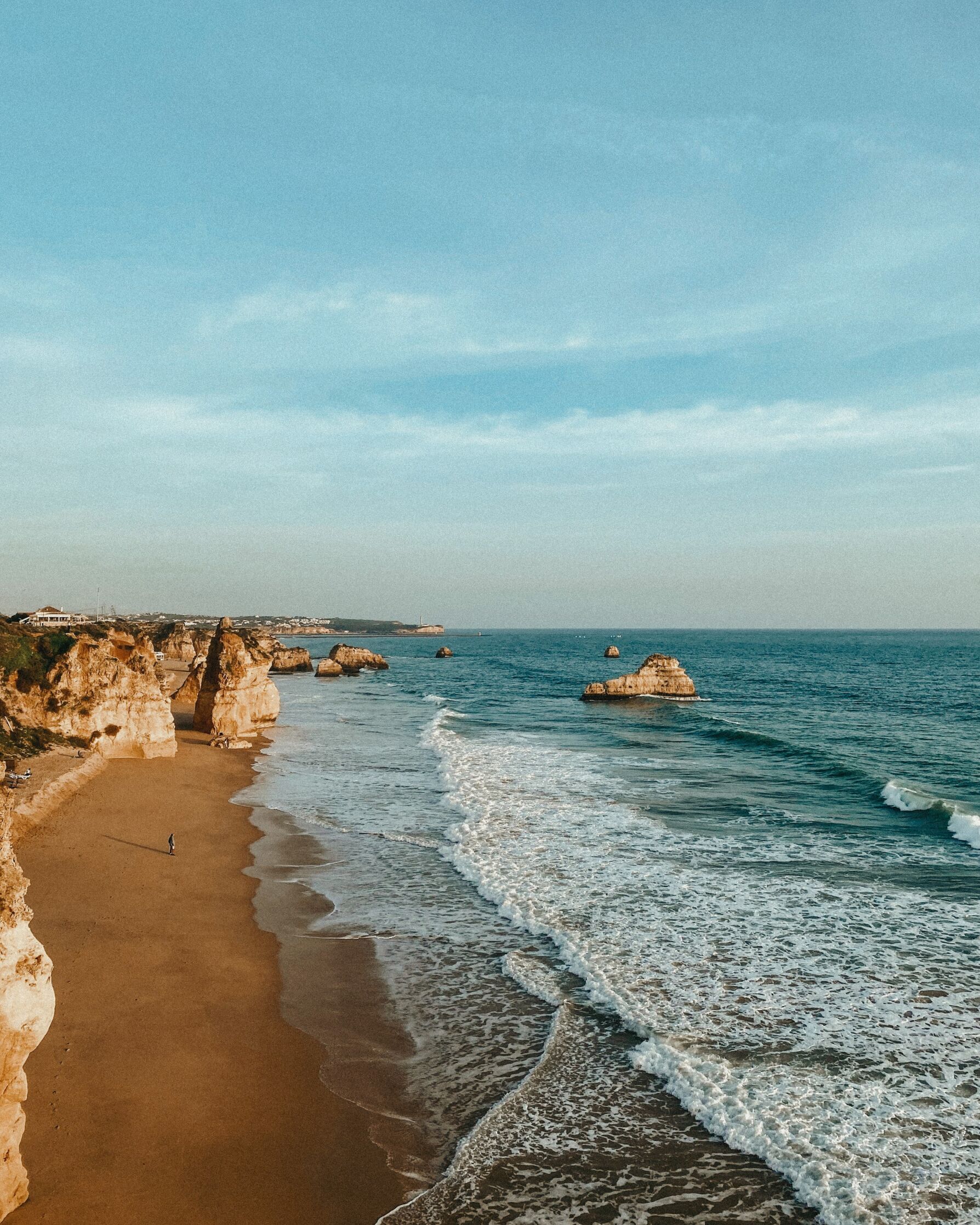 Toalha de Praia / Banho Cavalo Selvagem Único