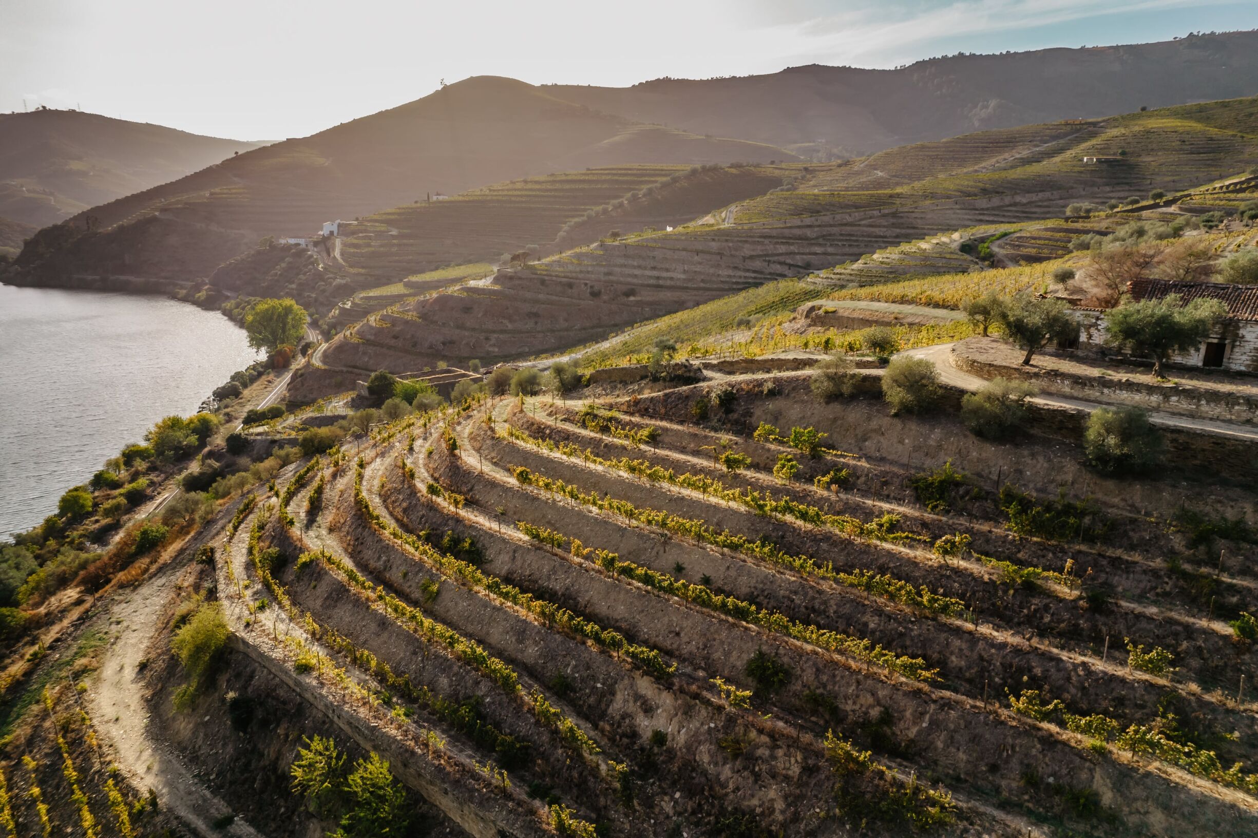 Destinos de enoturismo em Portugal: descubra o país através do vinho