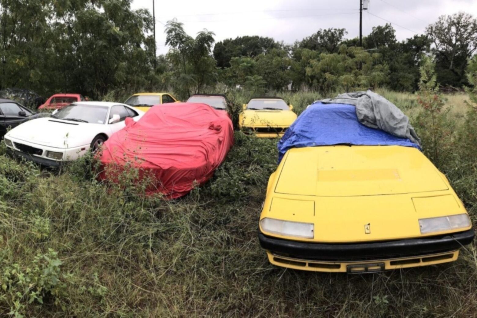 Quando uma frota de 11 Ferraris foi descoberta no Texas