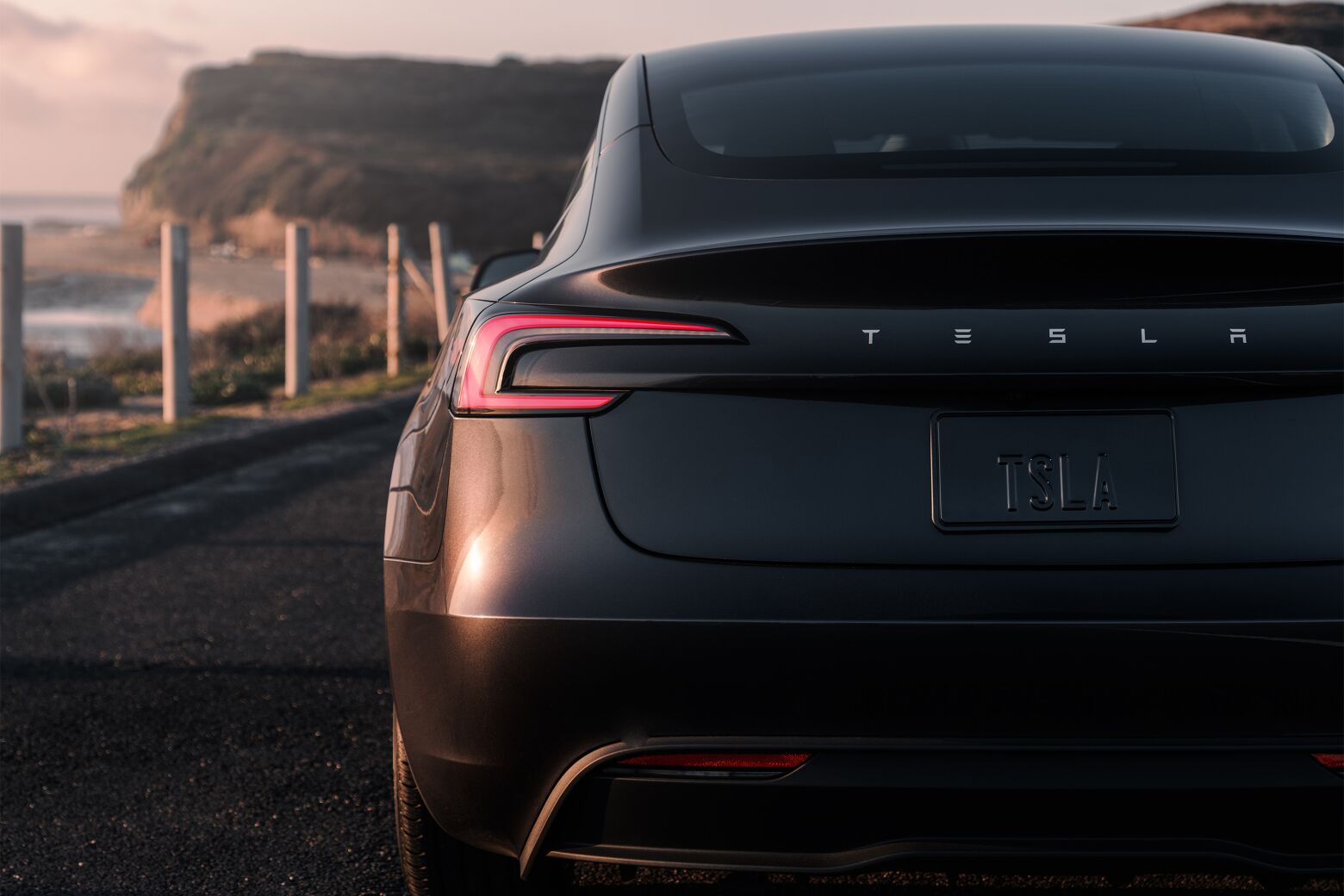 Tesla cresce em Portugal e afunda-se na Europa