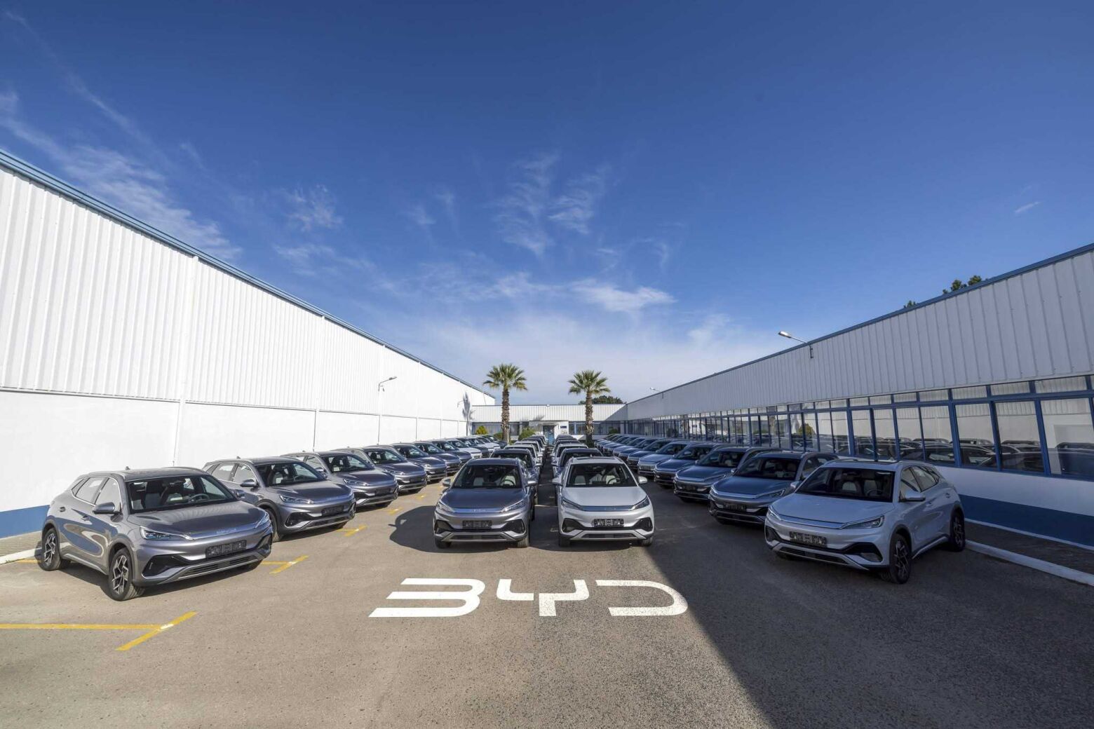 BYD ultrapassa Tesla e torna-se l&iacute;der mundial dos el&eacute;tricos