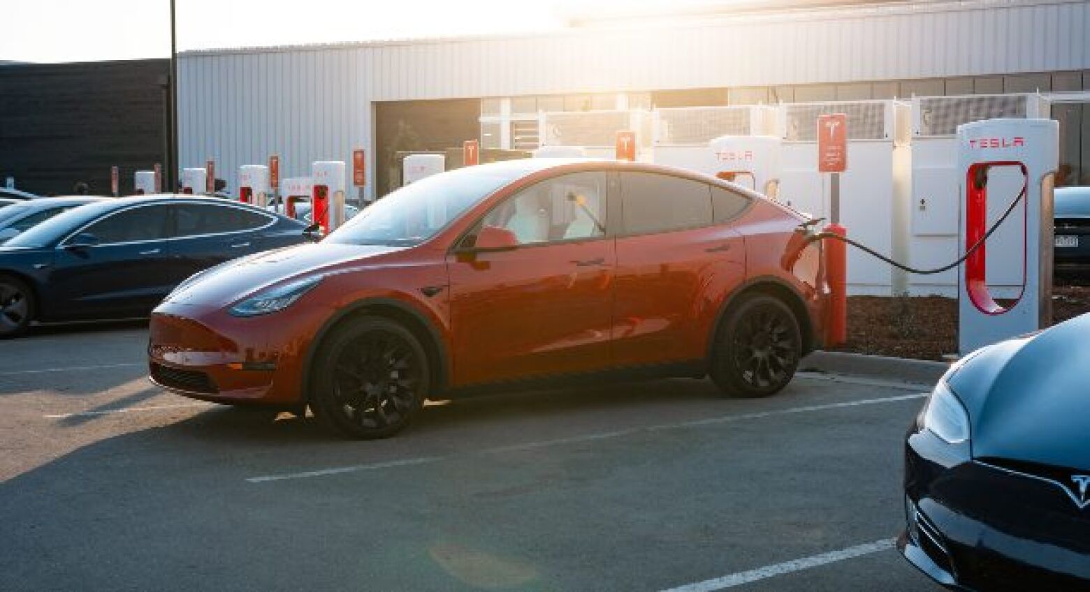 Só hoje! Tesla promove dia de carregamentos grátis