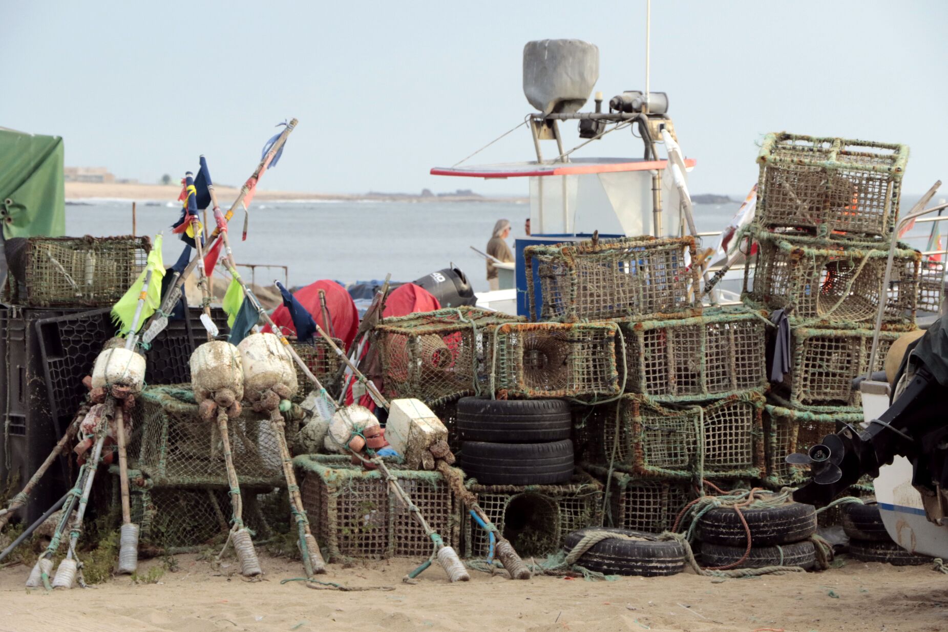 Portugal esgota 80% da quota de pesca de raia curva e capturas podem ser proibidas