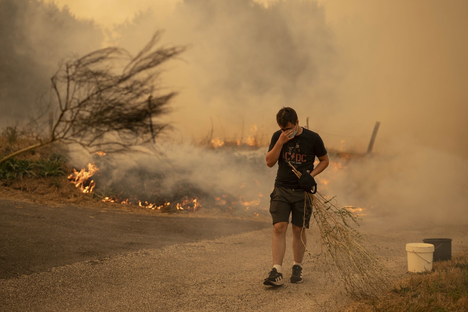Incêndios em Espanha queimaram já 343 mil hectares, um recorde anual no país