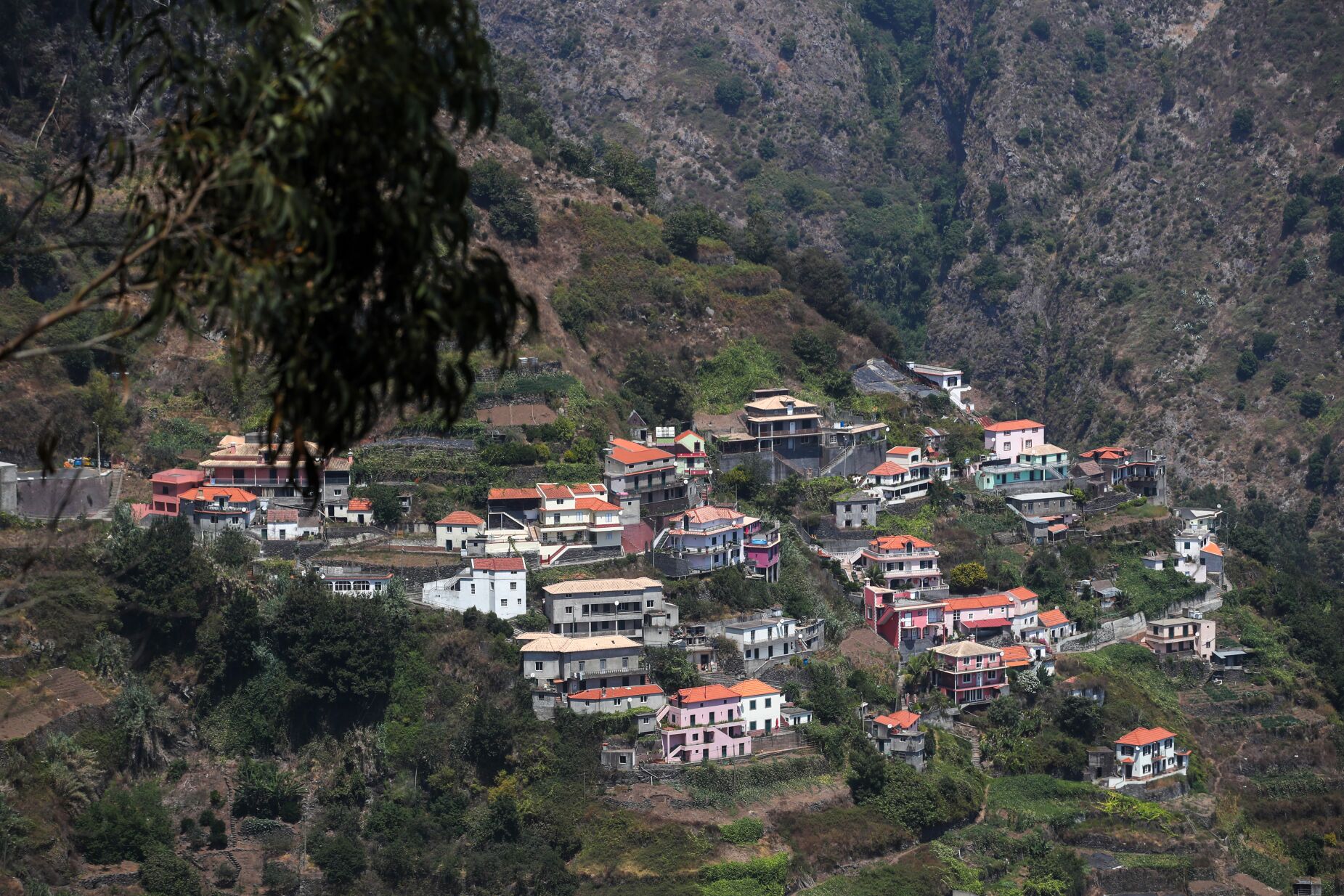 Depois das chamas, Madeira contabiliza prejuízos. Escarpas mais "instáveis" na Fajã das Galinhas facilitam derrocadas