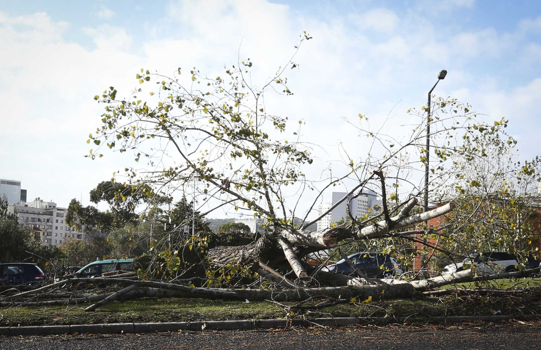 Severe Weather Impact