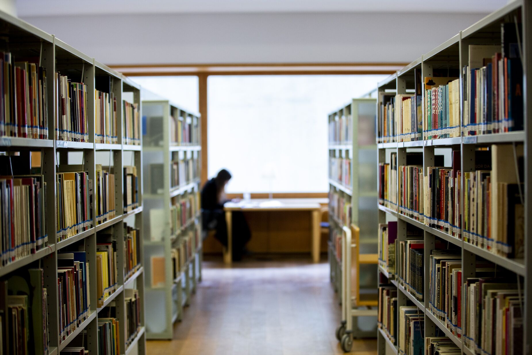 "Estudar compensa." Trabalhadores com formação superior recebem mais 73% do que quem tem o 12.º ano