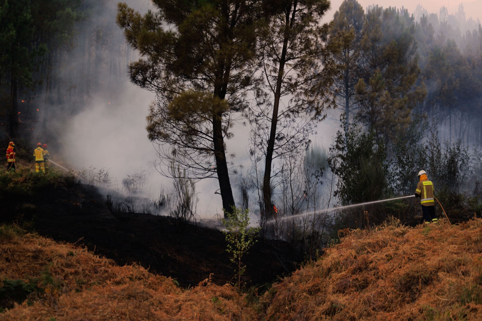 Incêndio em Trancoso não dá tréguas: há duas aldeias na linha do fogo, Proteção Civil apela à "sensibilidade da população"