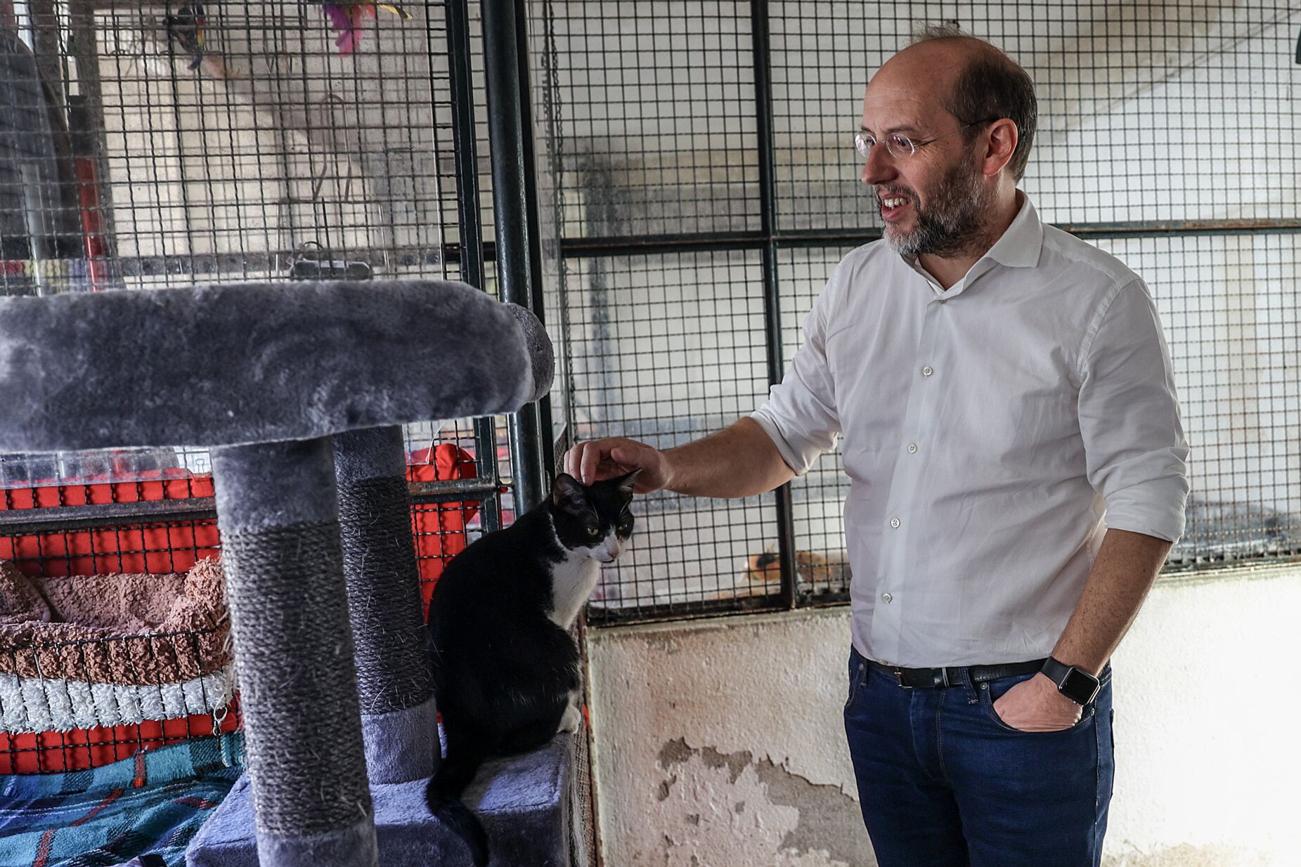 Rui Tavares disponível para "alterar hora, dia ou local" para que Montenegro compareça ao debate