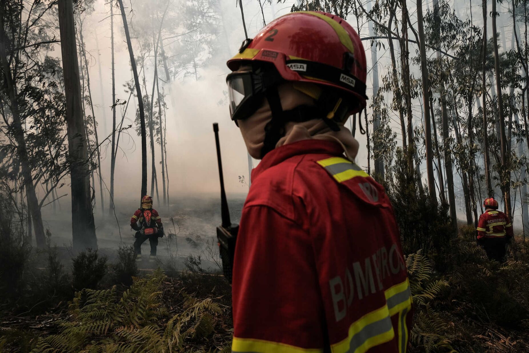 Situação "insustentável". Portugal perdeu dez mil bombeiros voluntários nos últimos 20 anos