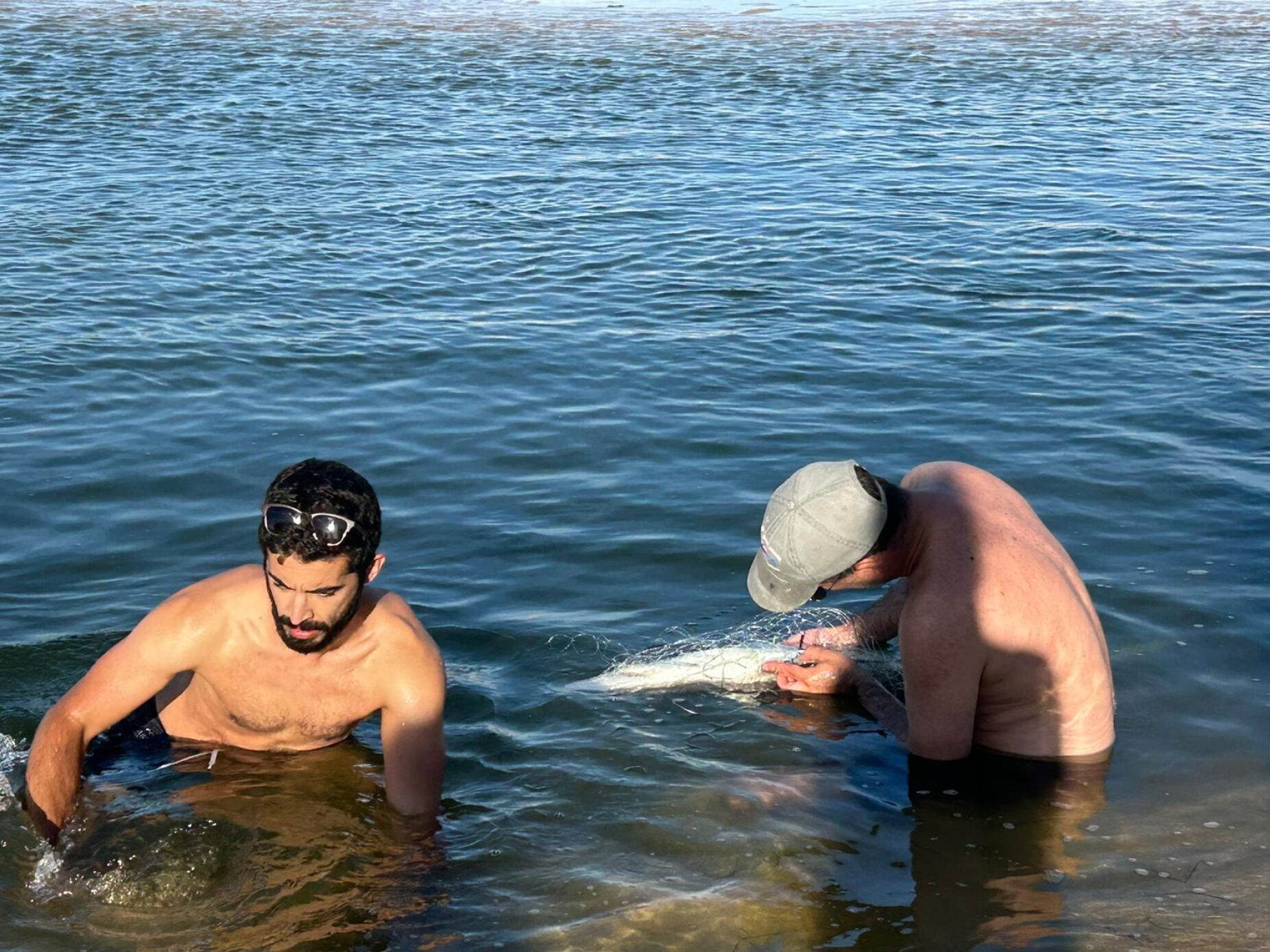 Tubarão retido na Lagoa de Santo André foi devolvido ao mar