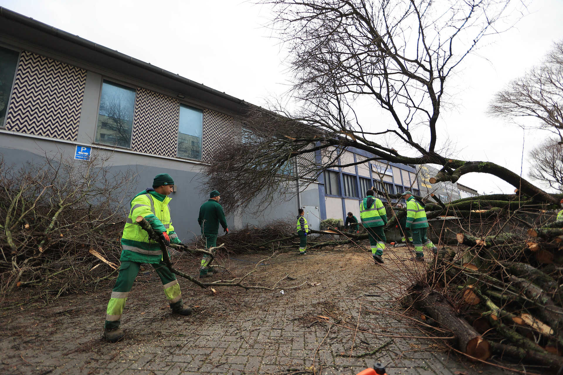 Severe Weather Alert: 24 Incidents Reported in Lisbon and Vale do Tejo This Saturday