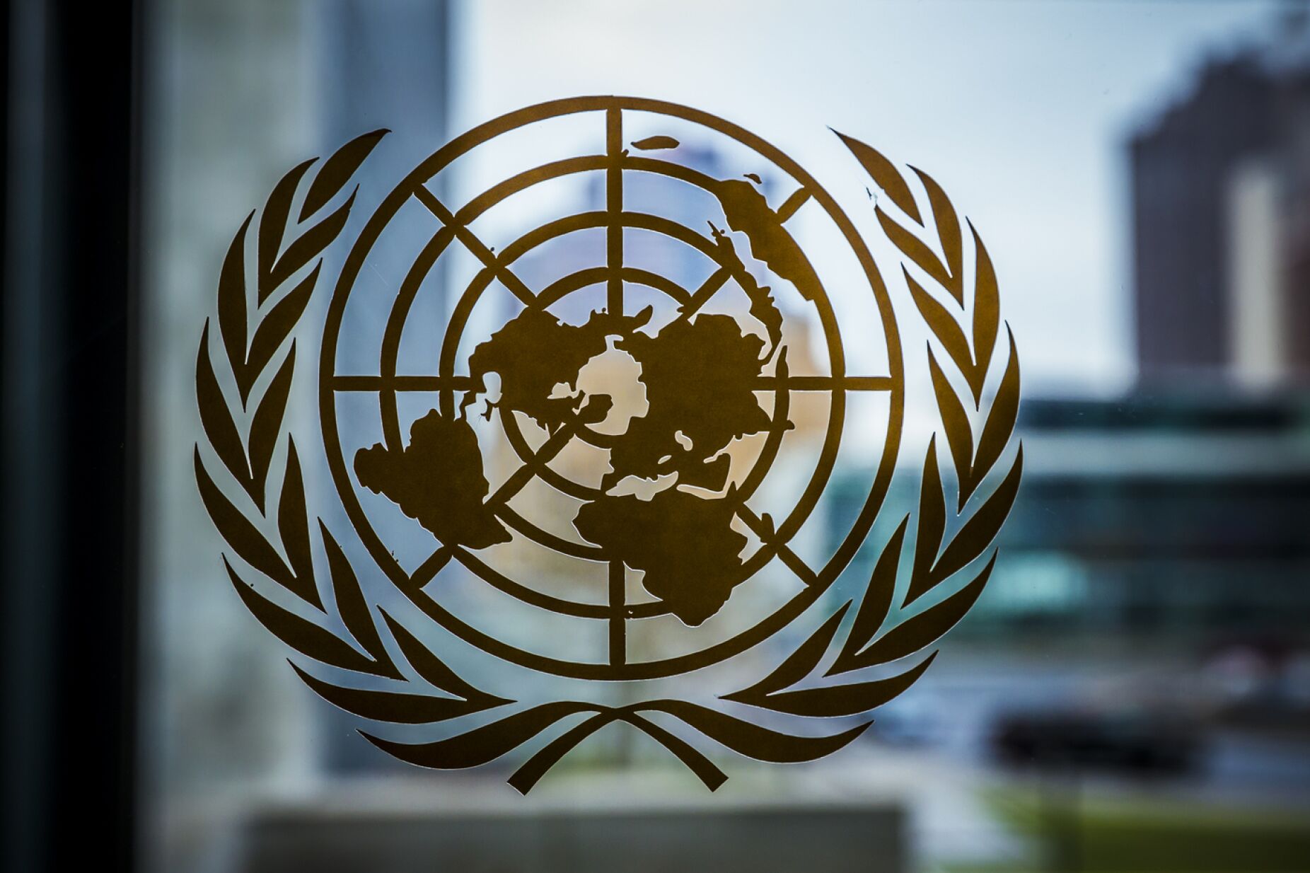 Comissão da ONU acusa Israel de genocídio em Gaza."Estados-membros têm agora responsabilidade especial"