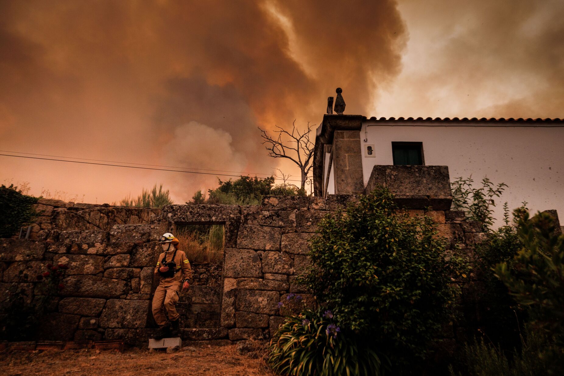 Aplicação para telemóveis da Proteção Civil está fora de serviço em plena época de incêndios