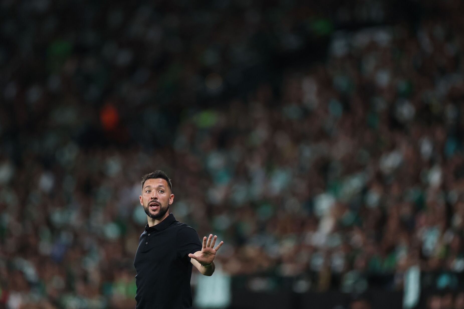 Farioli quer um FC Porto "reconectado" após paragem para as seleções