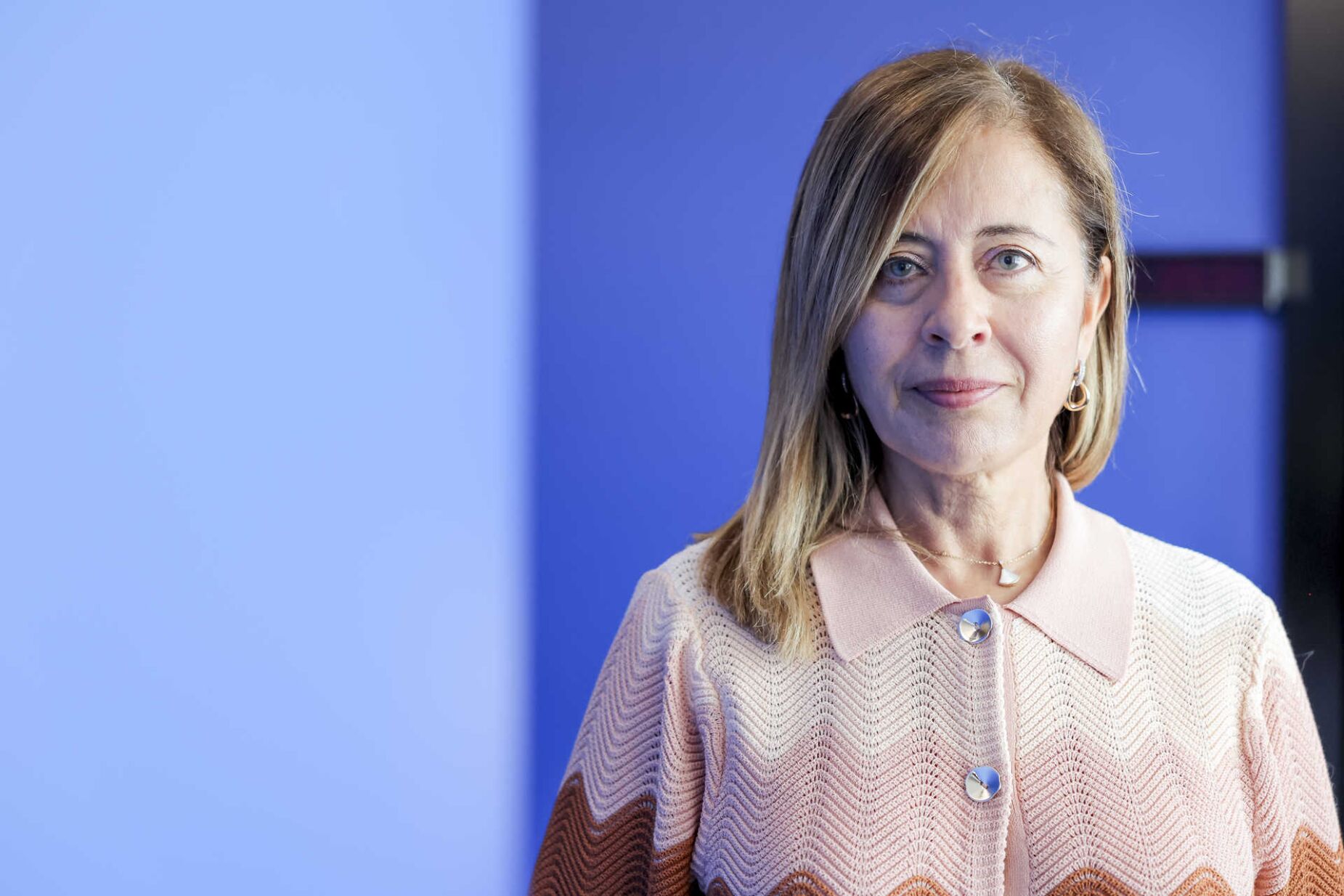 Anabela Cabral Ferreira: "falhou muita coisa" para ter de afastar a "fruta podre" nas polícias