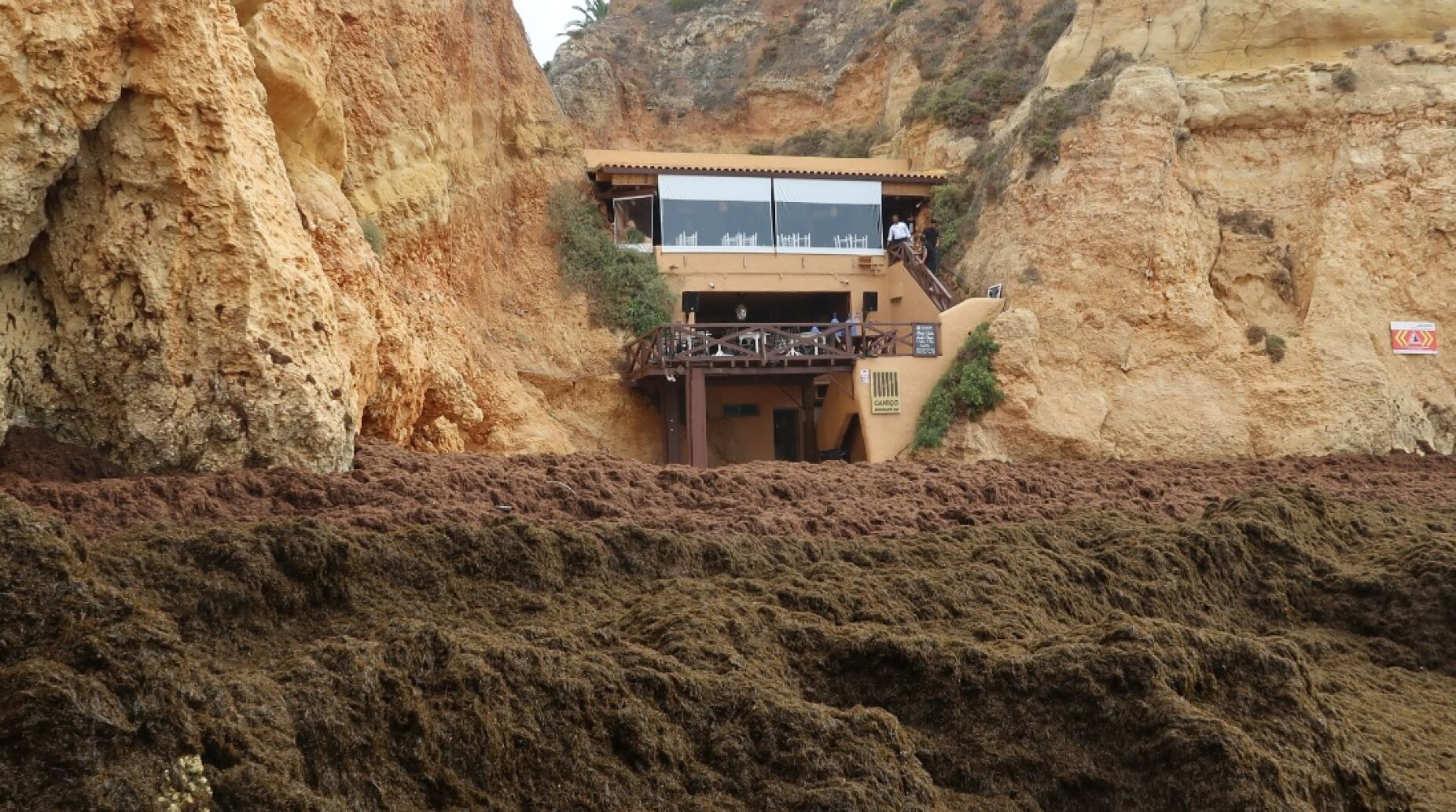 University of Algarve