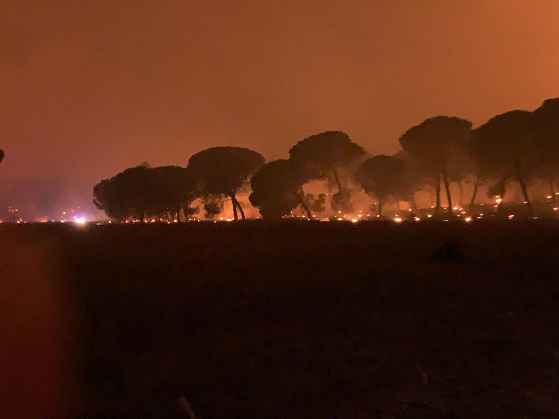 Incêndio no Seixal está a 500 metros do paiol de munições da NATO. Há mais de 400 bombeiros no terreno