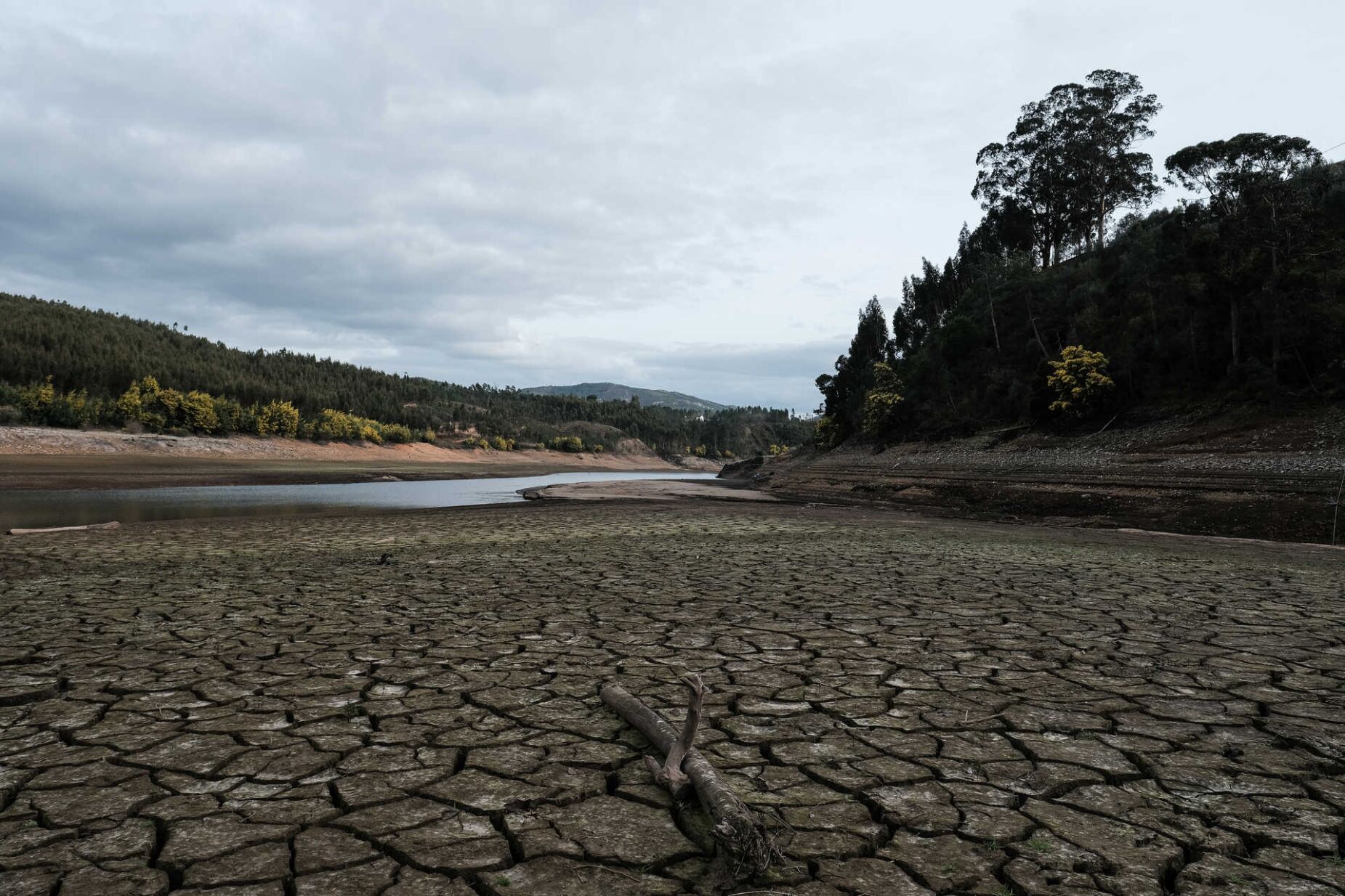 Reserva de crise agrícola: "É muito difícil ser ativada e, quando é ativada, normalmente é insuficiente"