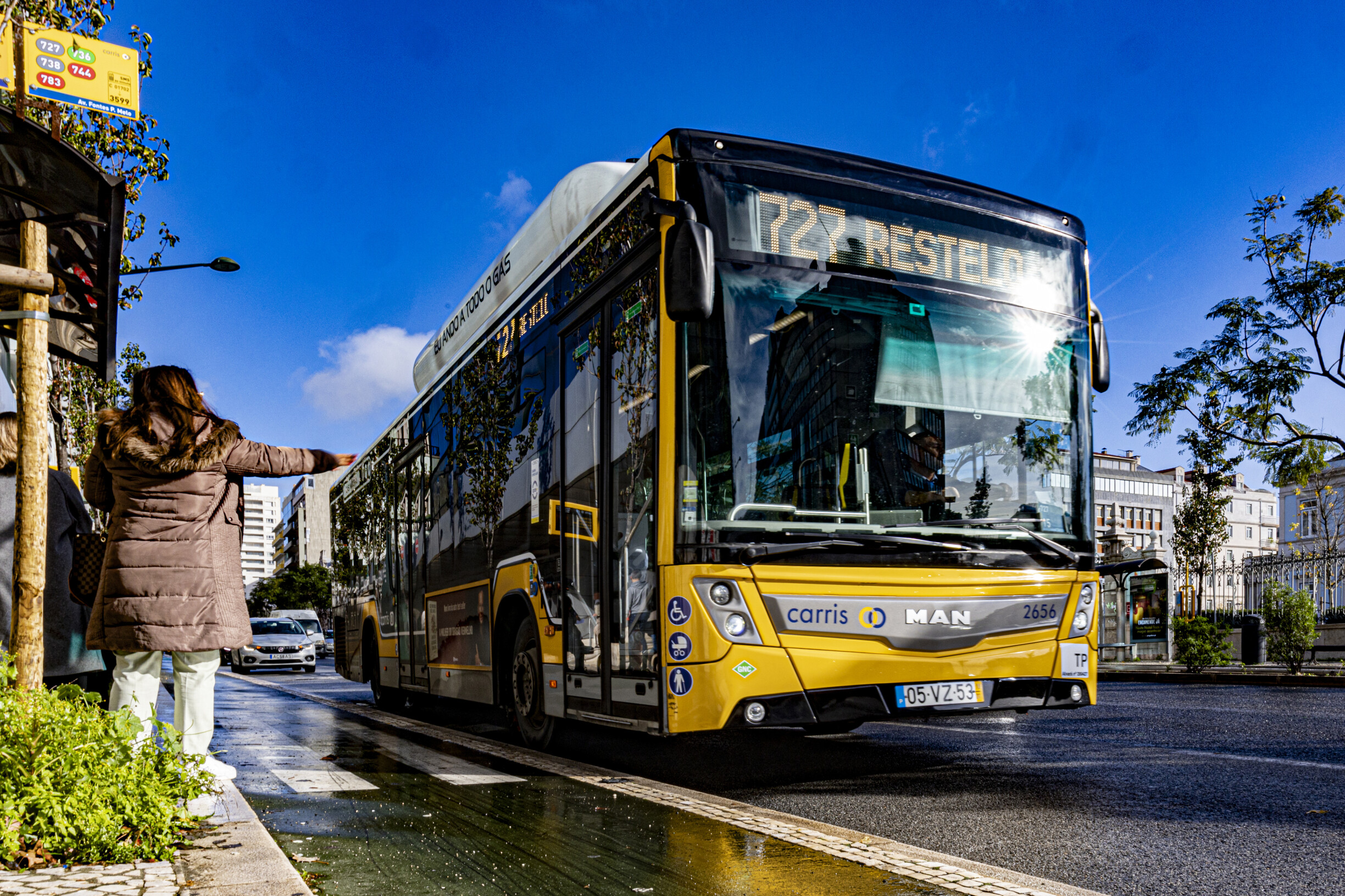 Lisbon City Council Discusses Controversial Removal of Bus Stop Benches