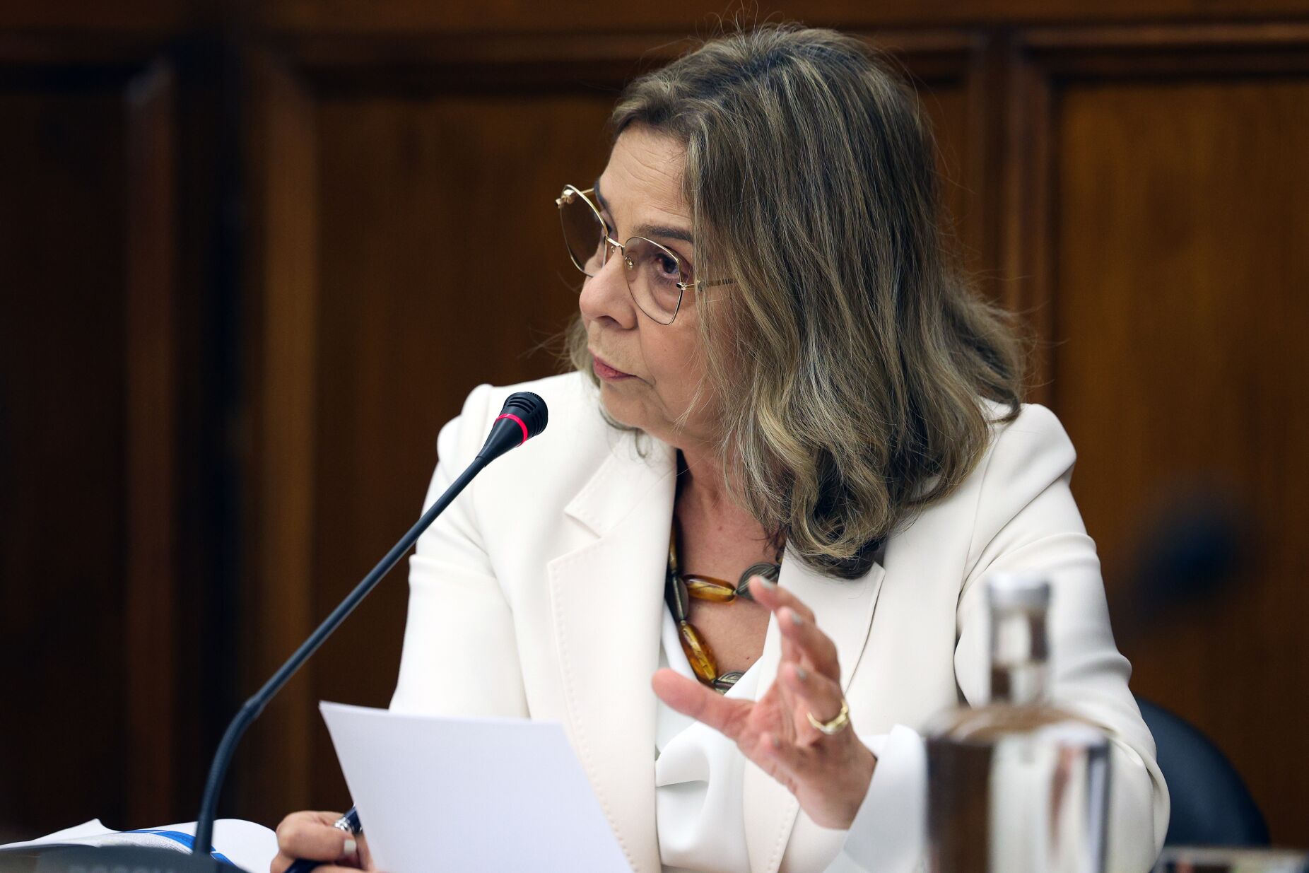 Ministra recusa "tirar ilações políticas" do relatório da IGAS e admite erros: "Não sei por que falhou"