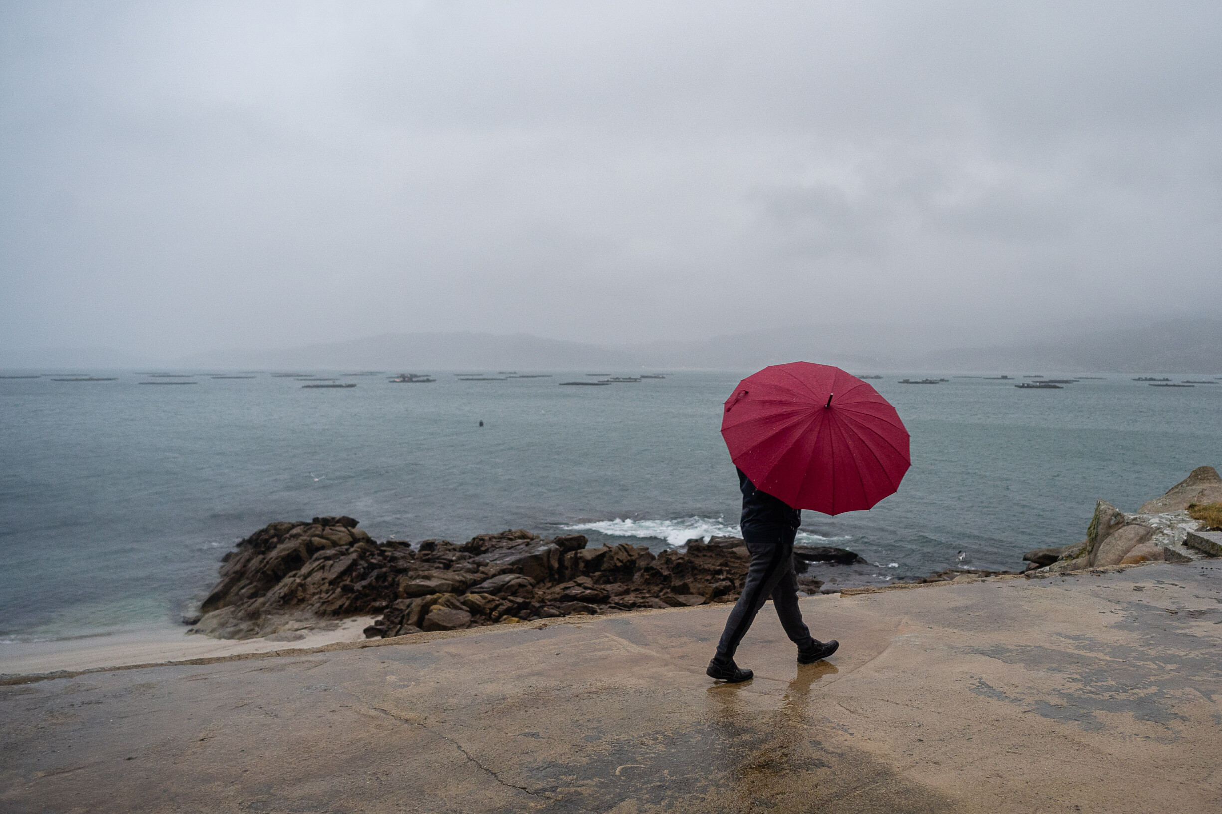 Severe Weather Alert: 40 Incidents Reported Across Portugal Due to Storm Ivo