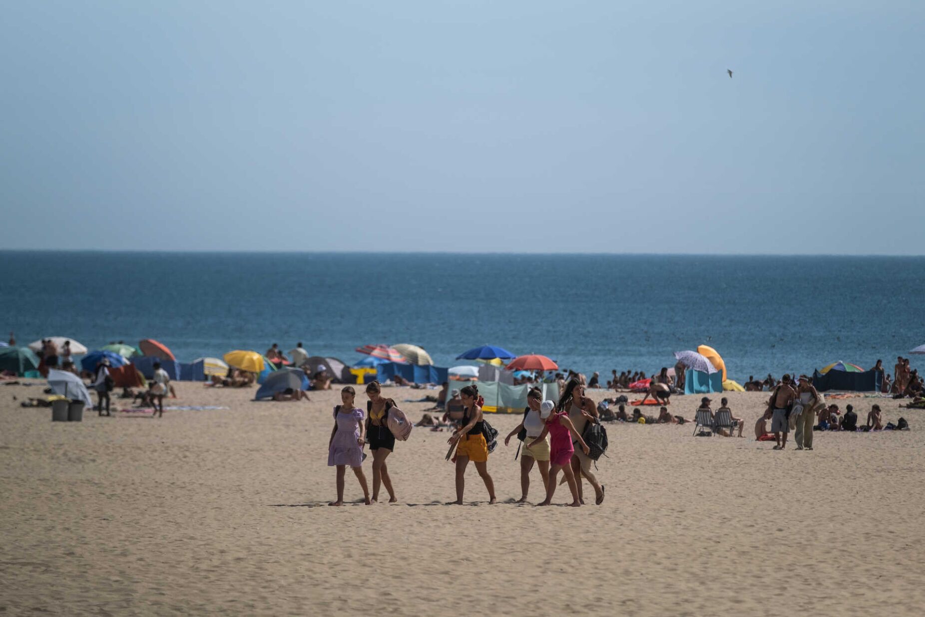 Já são conhecidas as praias portuguesas Zero Poluição: este ano há mais cinco do que em 2023