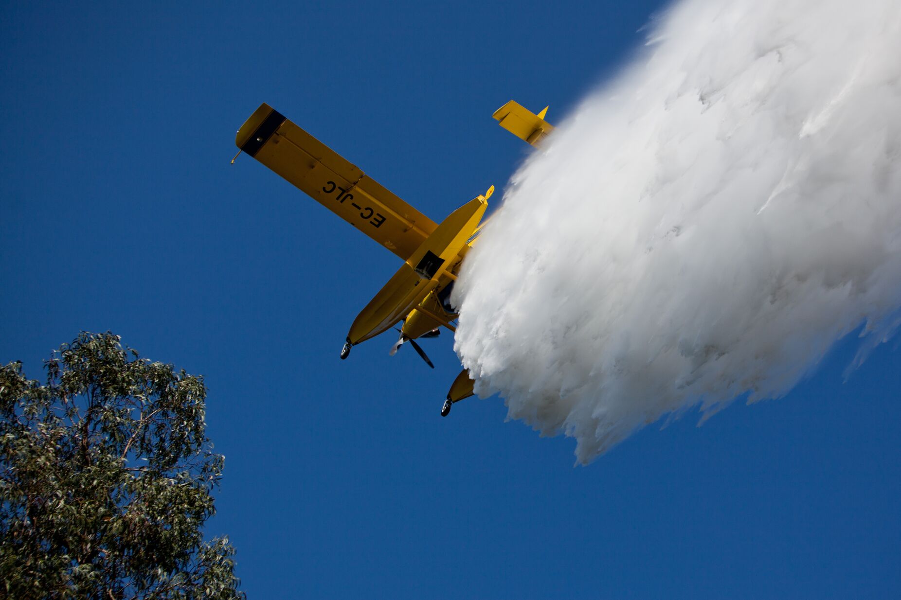 Madeira disponível para ajudar no combate aos fogos no continente