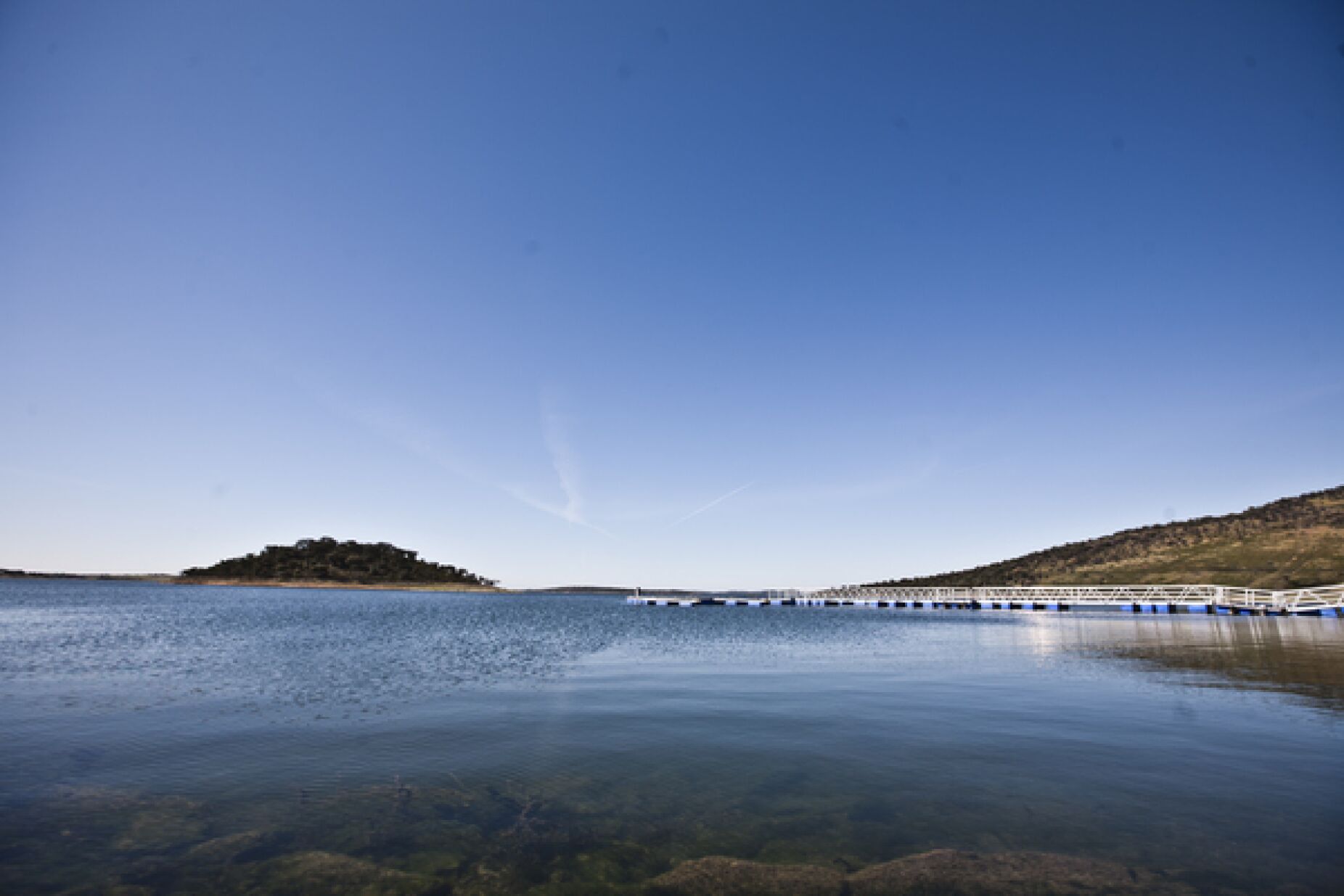 "Rio Guadiana está a renascer." Alqueva tem água com fartura para "os próximos três anos"